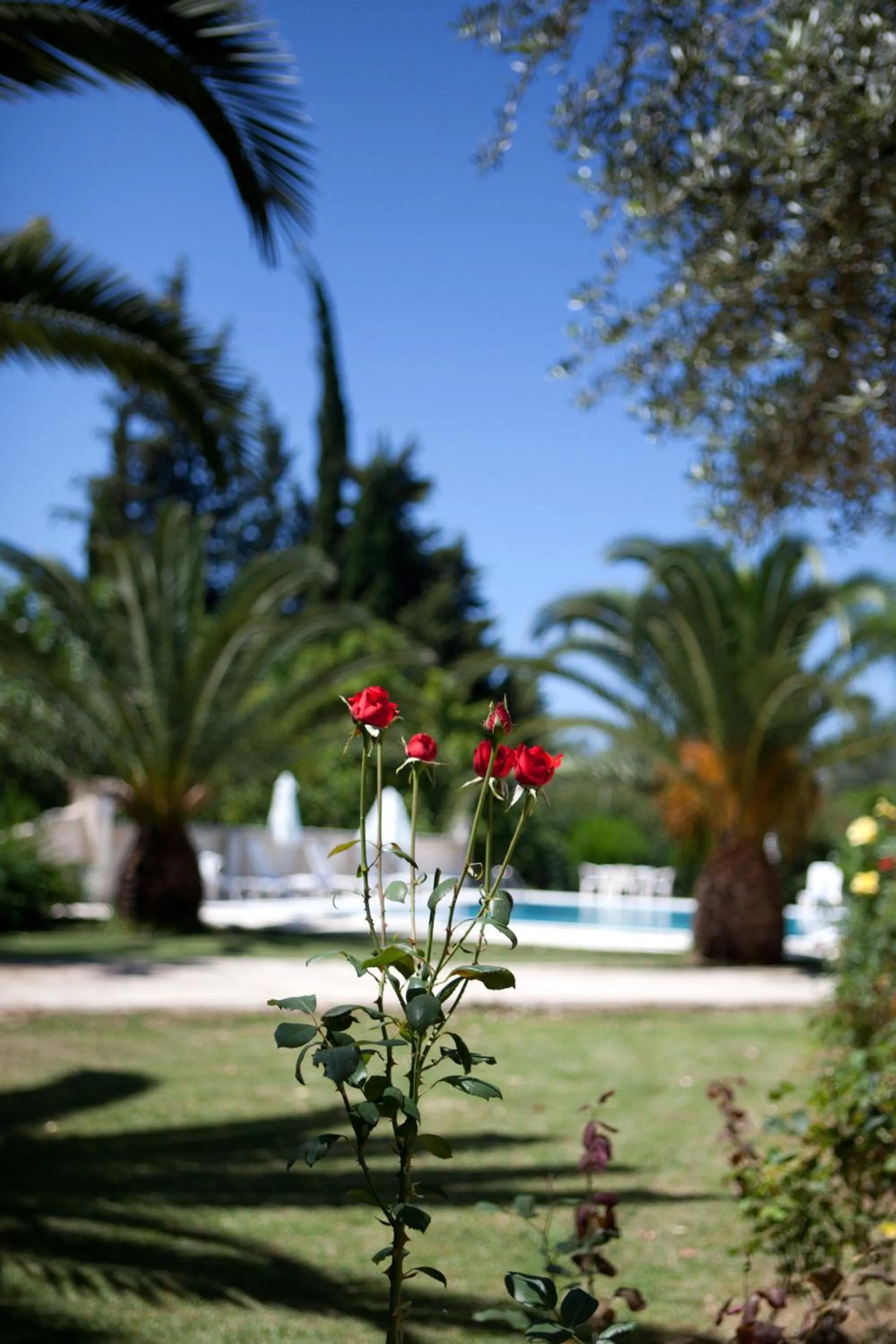 Other in Hotel Milton