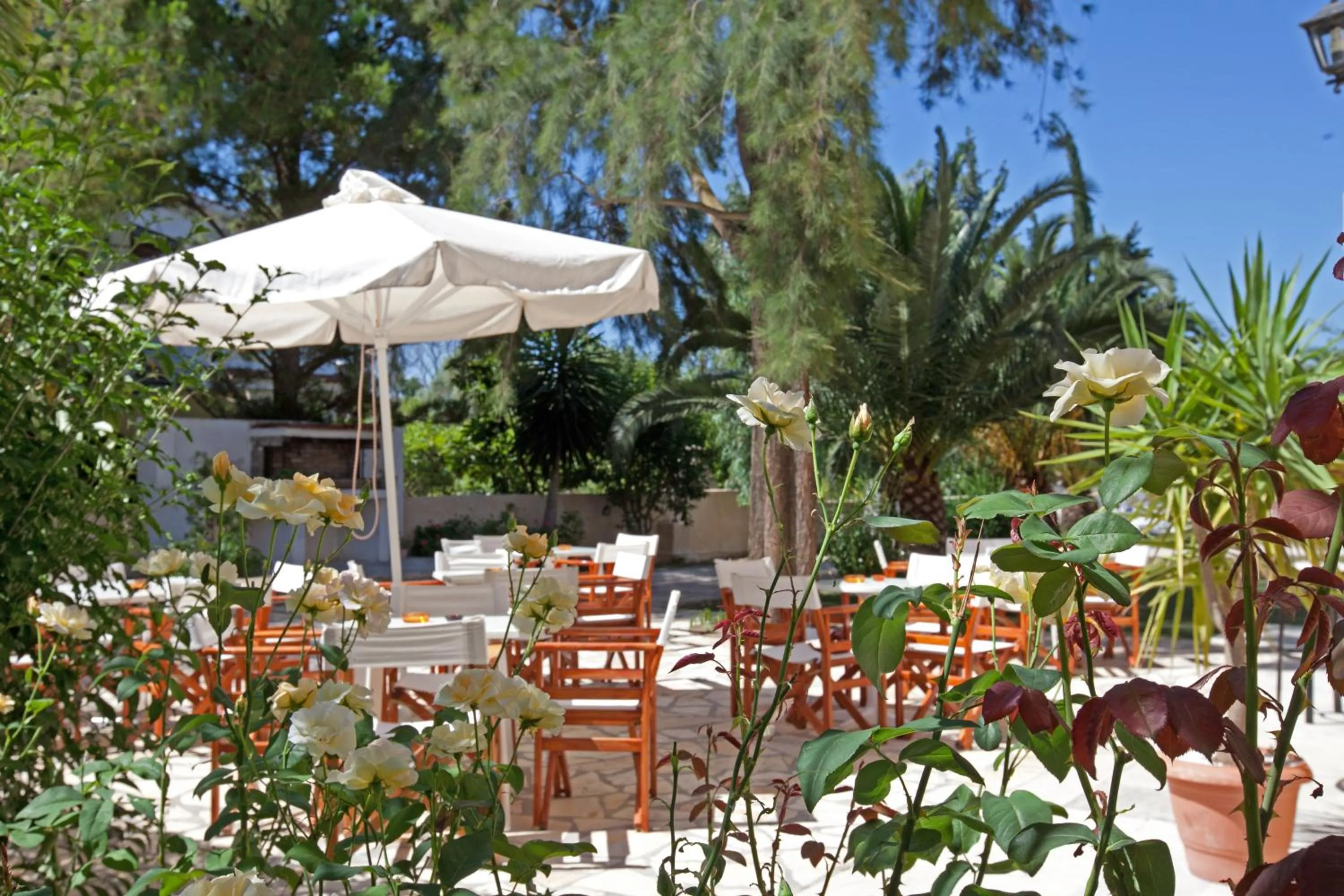 Restaurant/places to eat in Hotel Milton