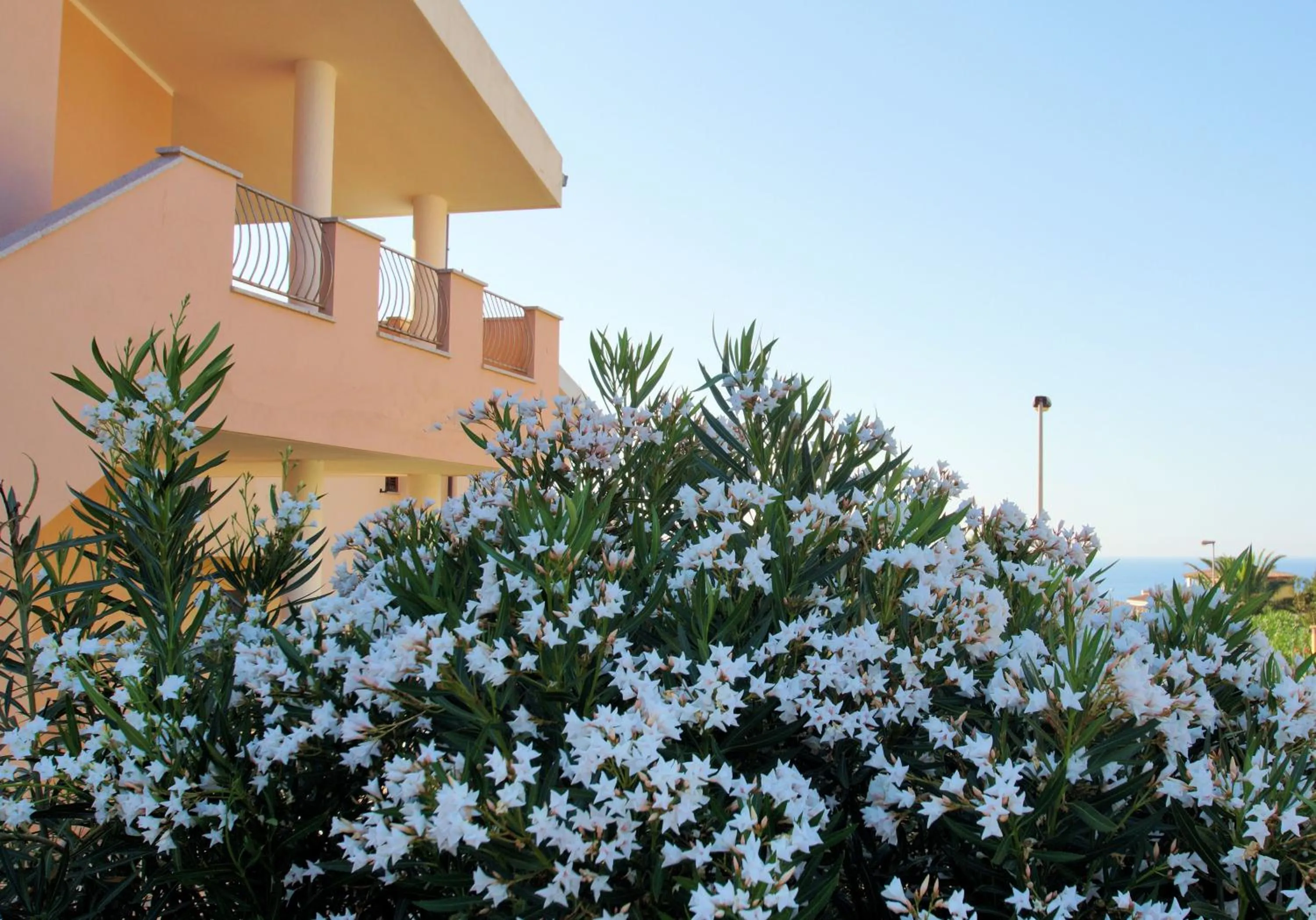 Facade/entrance in Sa Fiorida Appartamenti