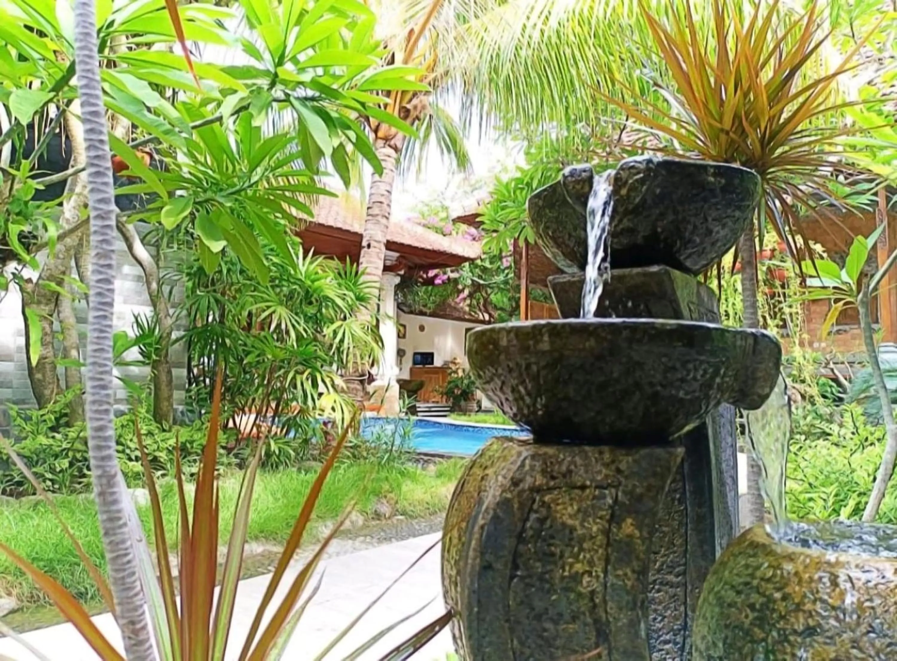 Garden in Green Palace Homestay