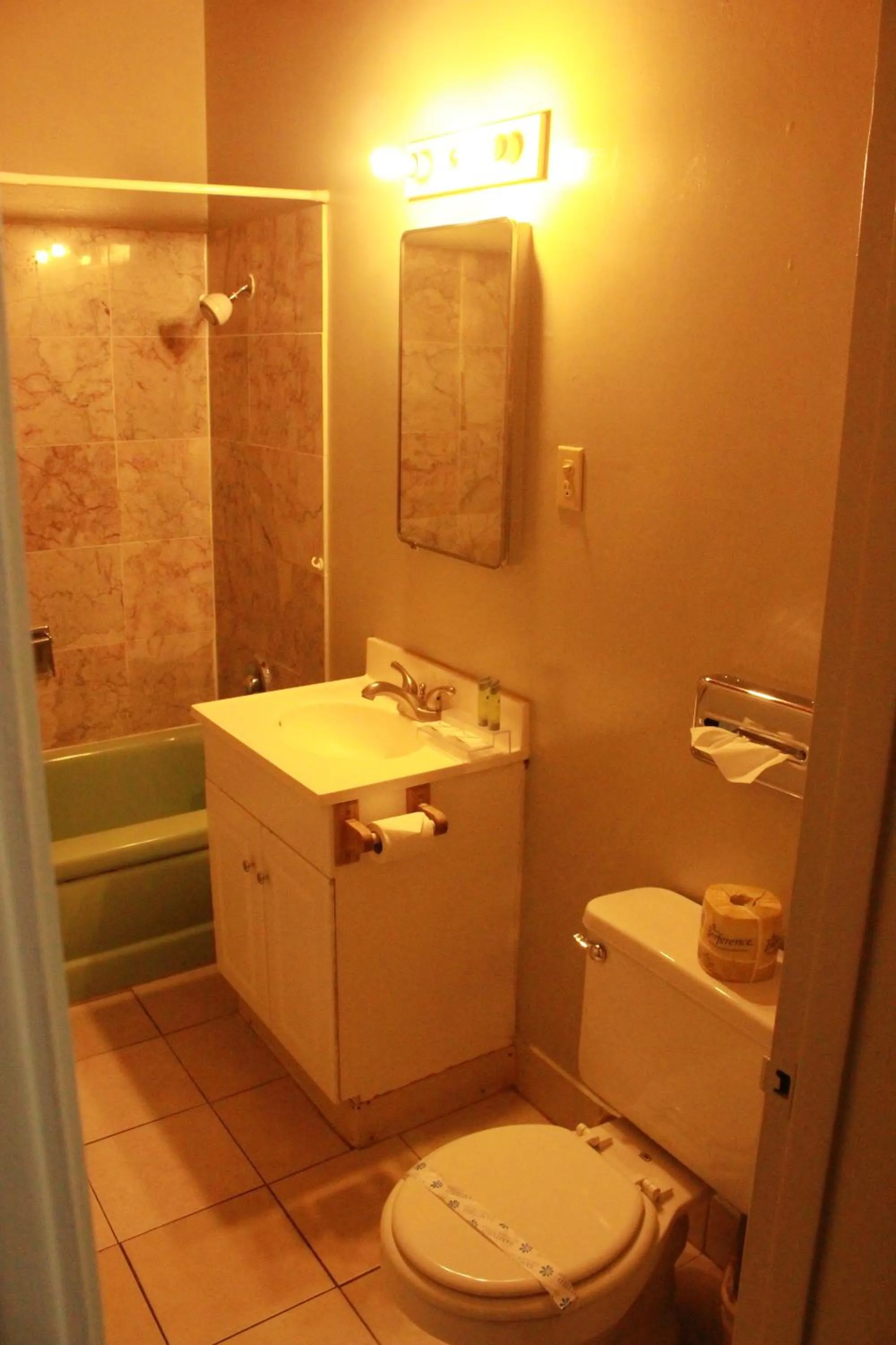 Bathroom in Budget Inn -Yreka