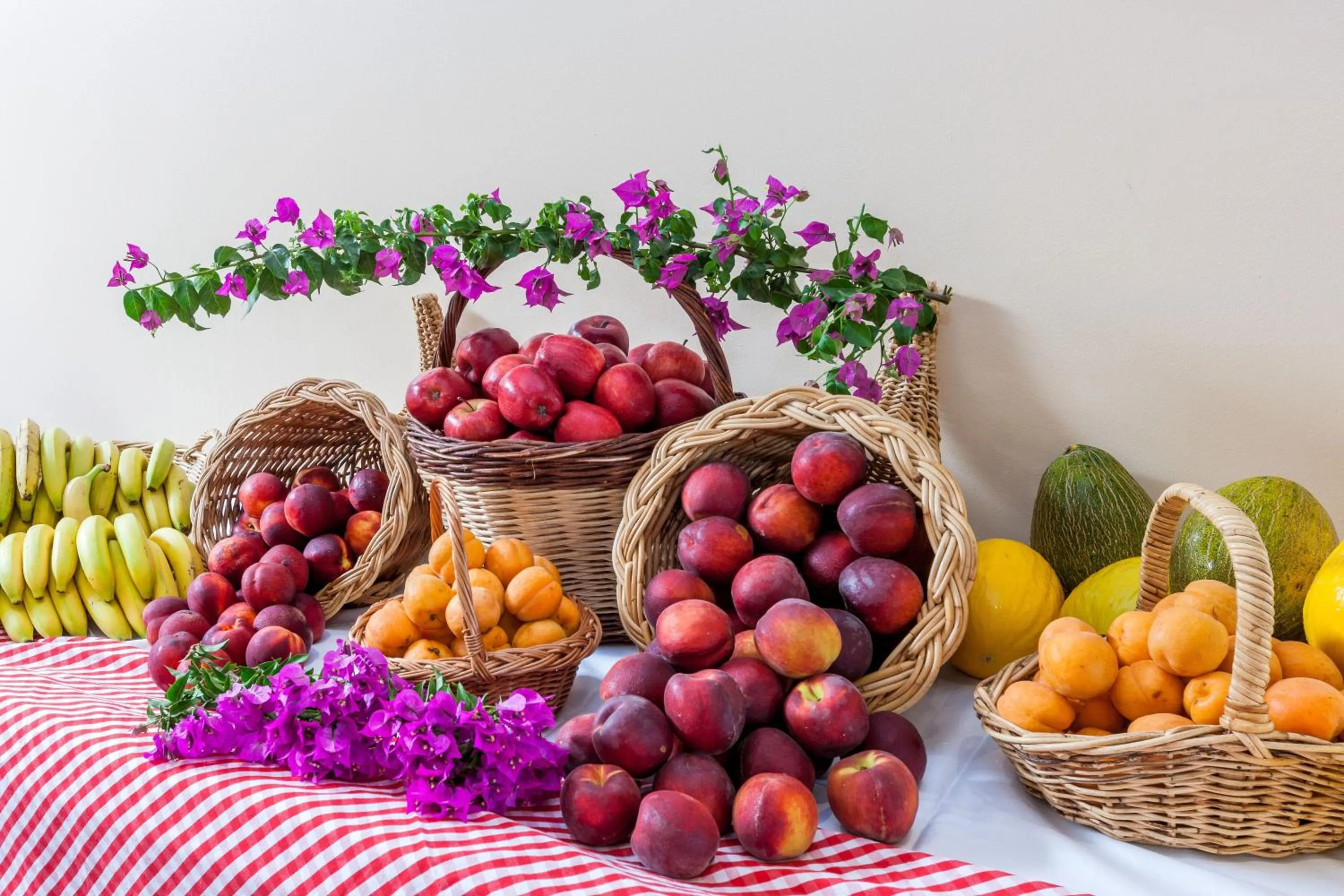 Food and drinks in Hotel Club Marina Viva