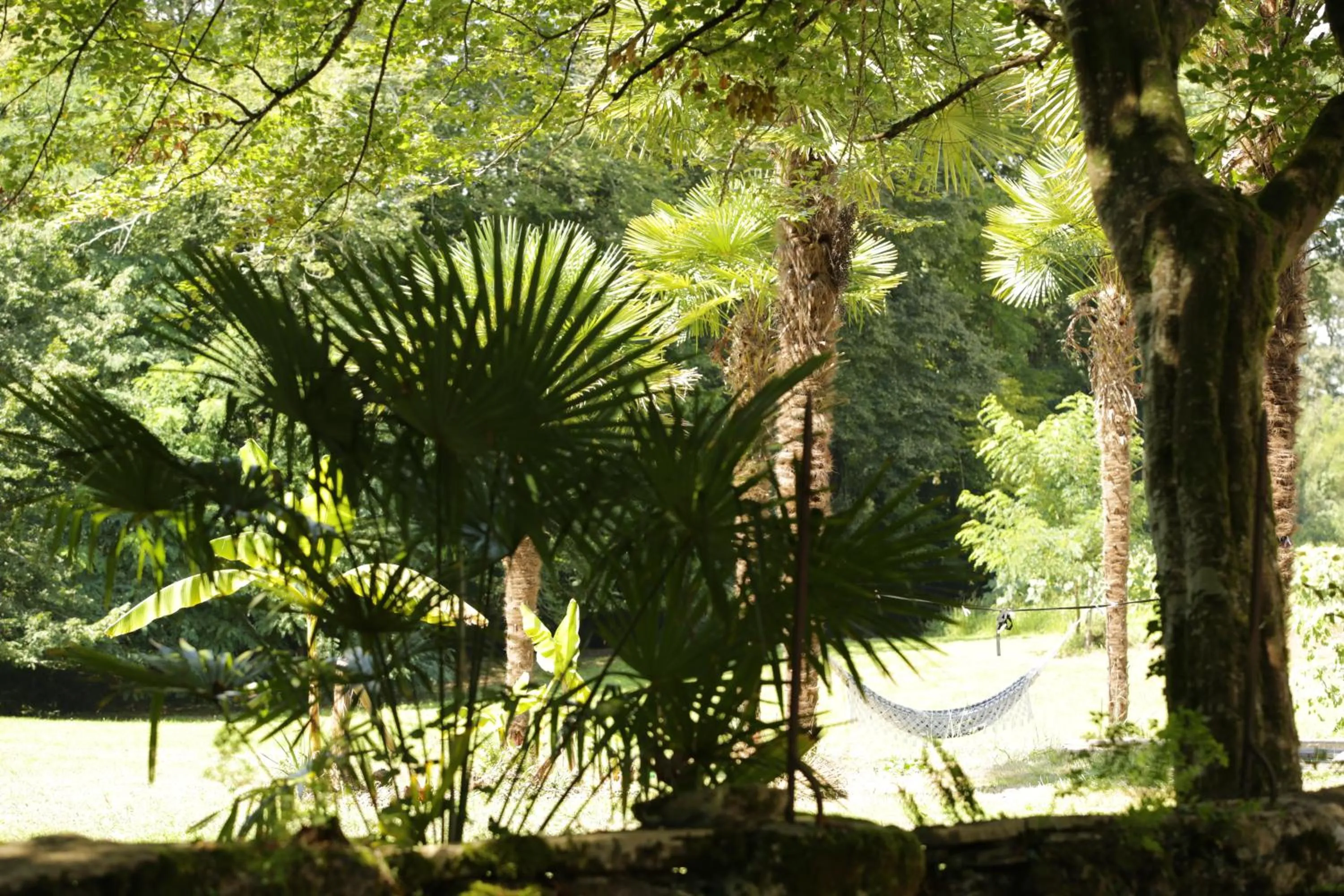 Chateau Saint Martin B&B