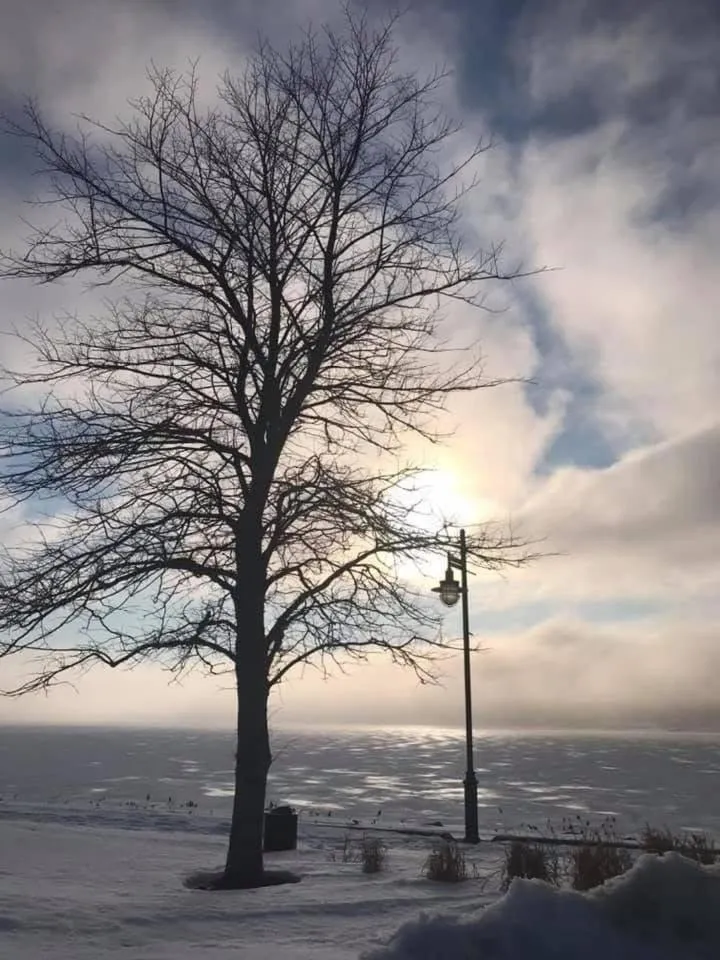 View (from property/room) in The Simon Hotel Sydney