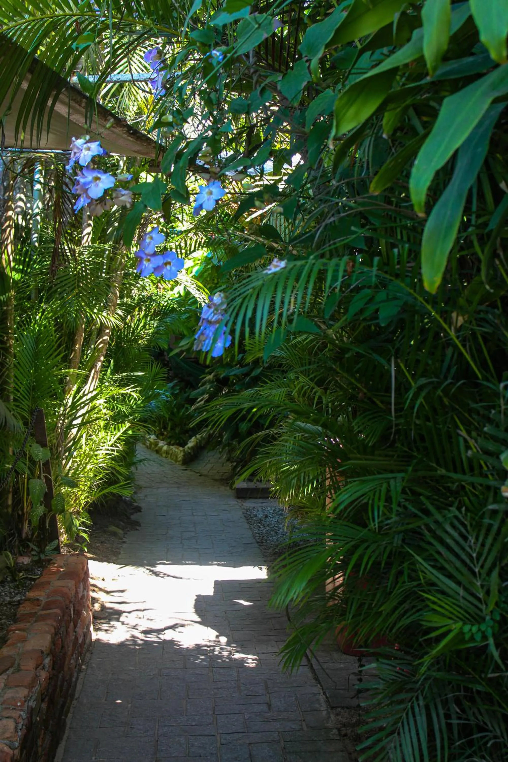 Natural landscape in Pousada Tropicana