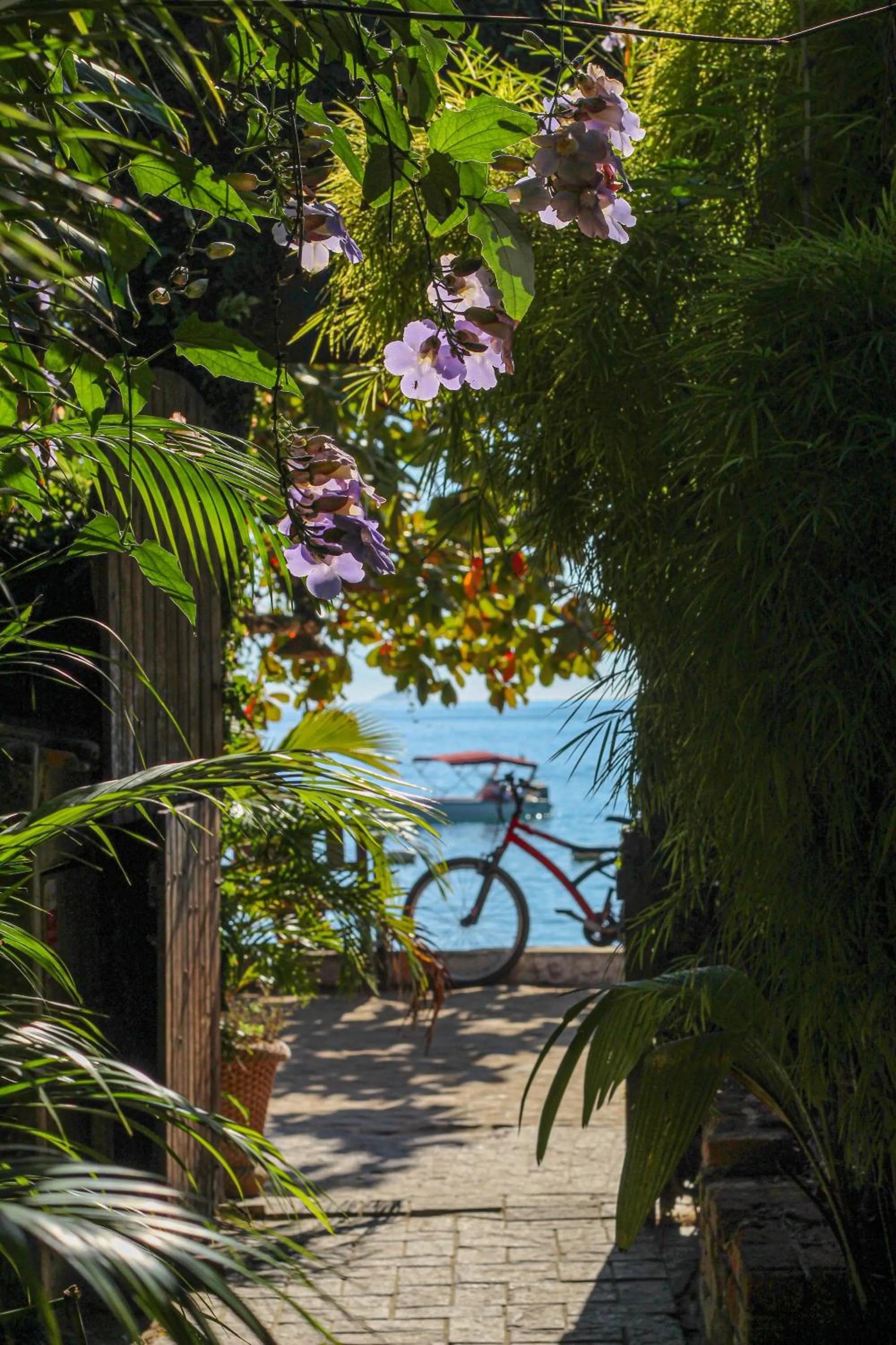 Natural landscape in Pousada Tropicana