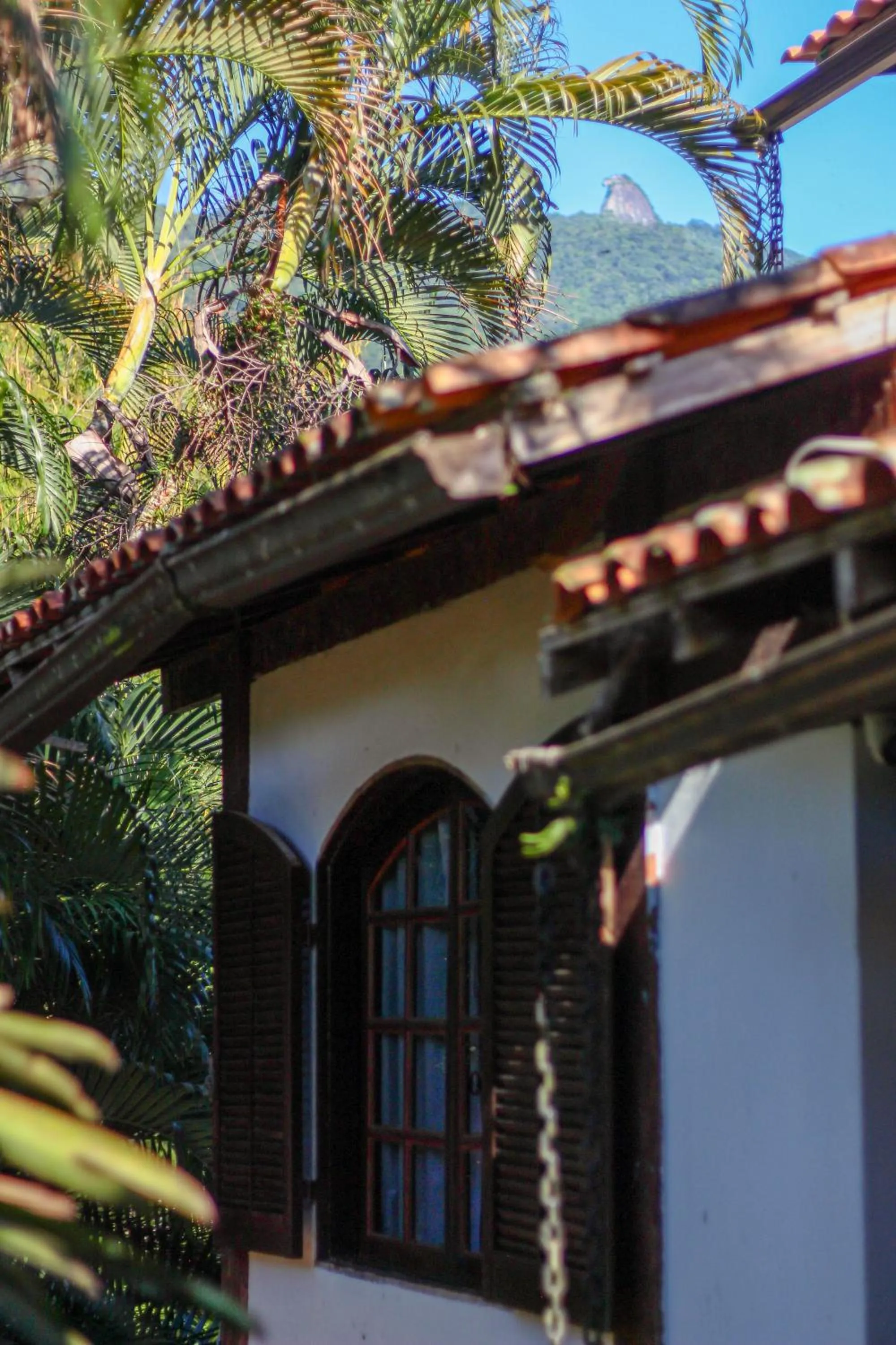 Garden view in Pousada Tropicana