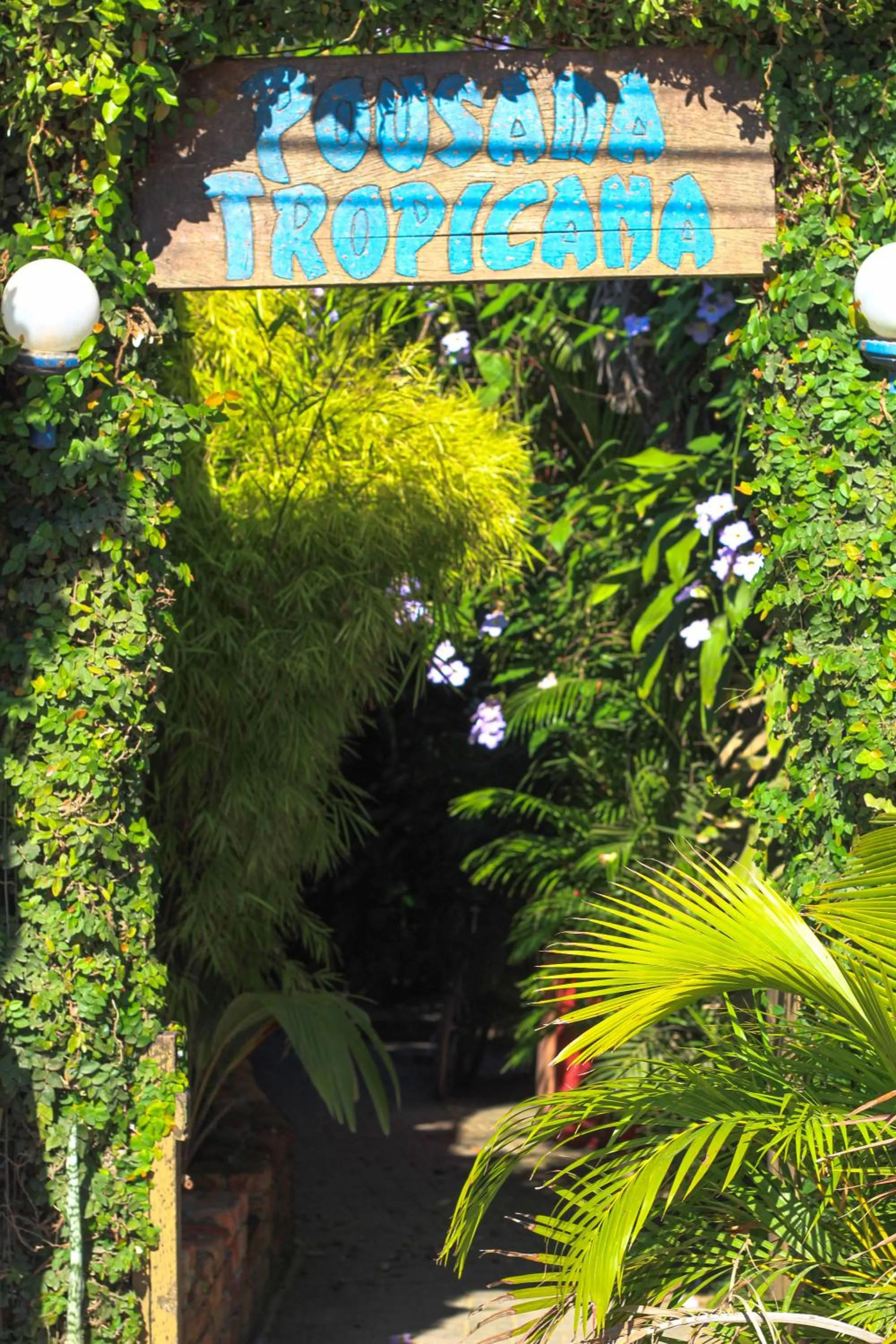 Spring in Pousada Tropicana