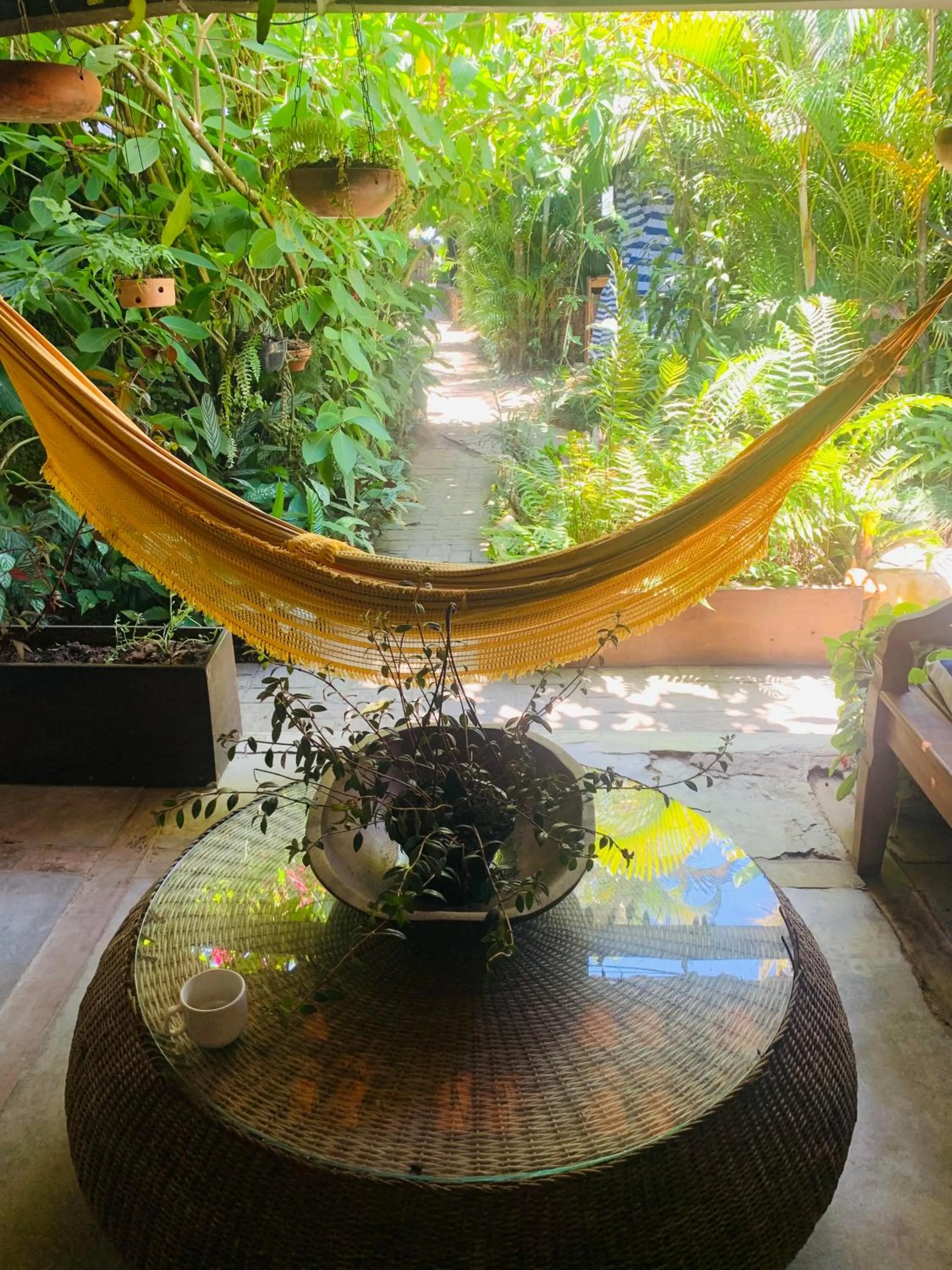 Garden view in Pousada Tropicana