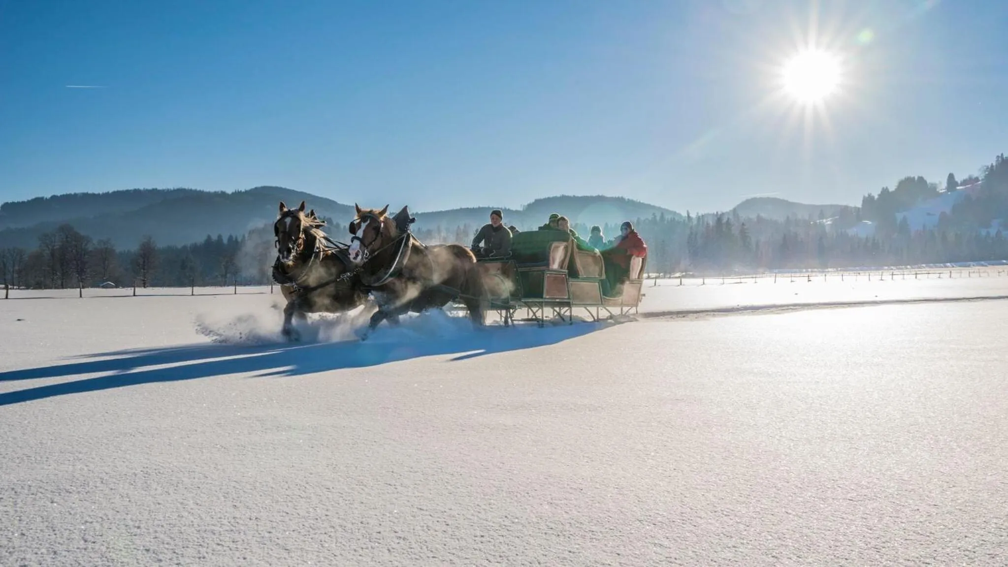 Horse-riding in LandererMühle