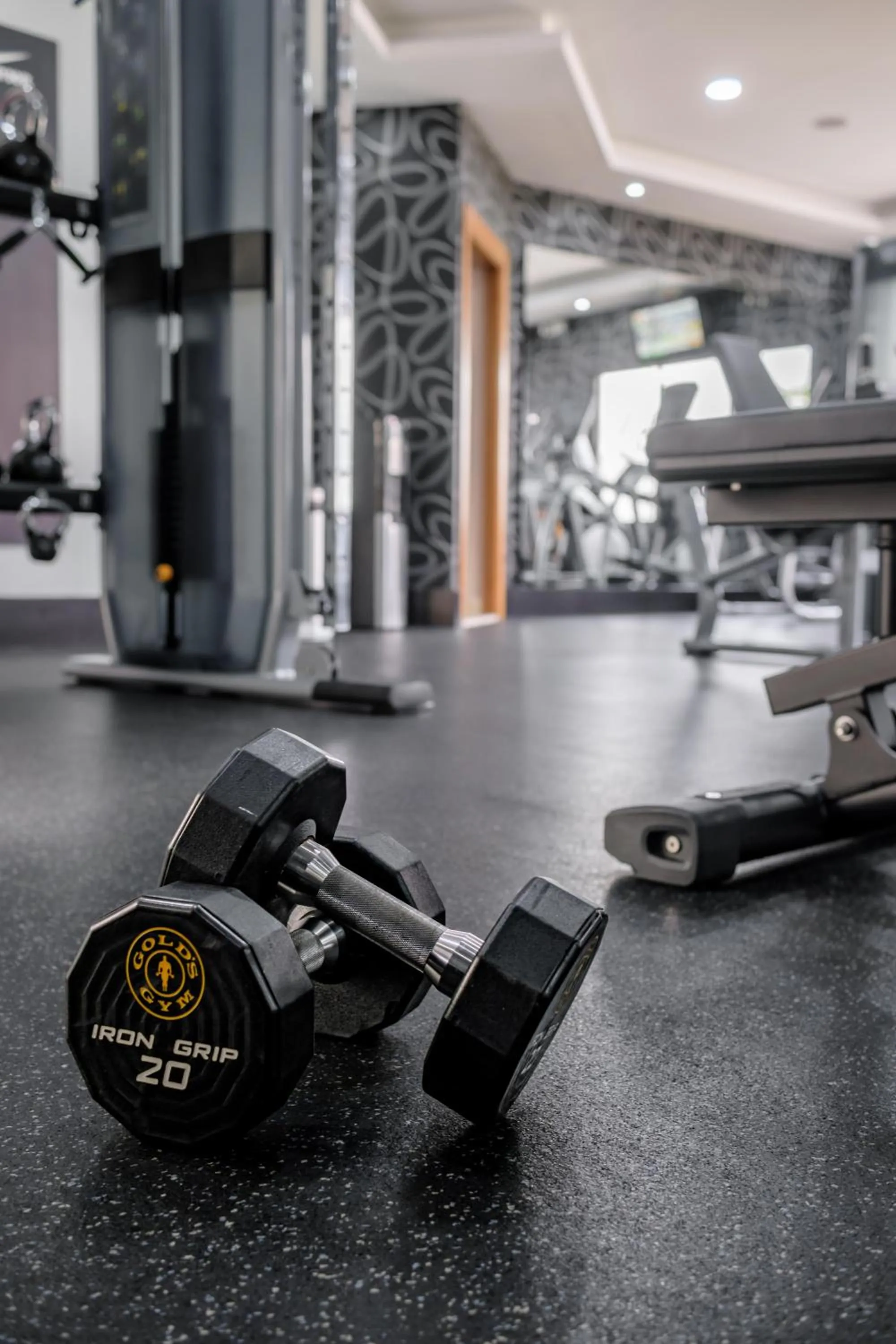 Activities in Hodelpa Gran Almirante