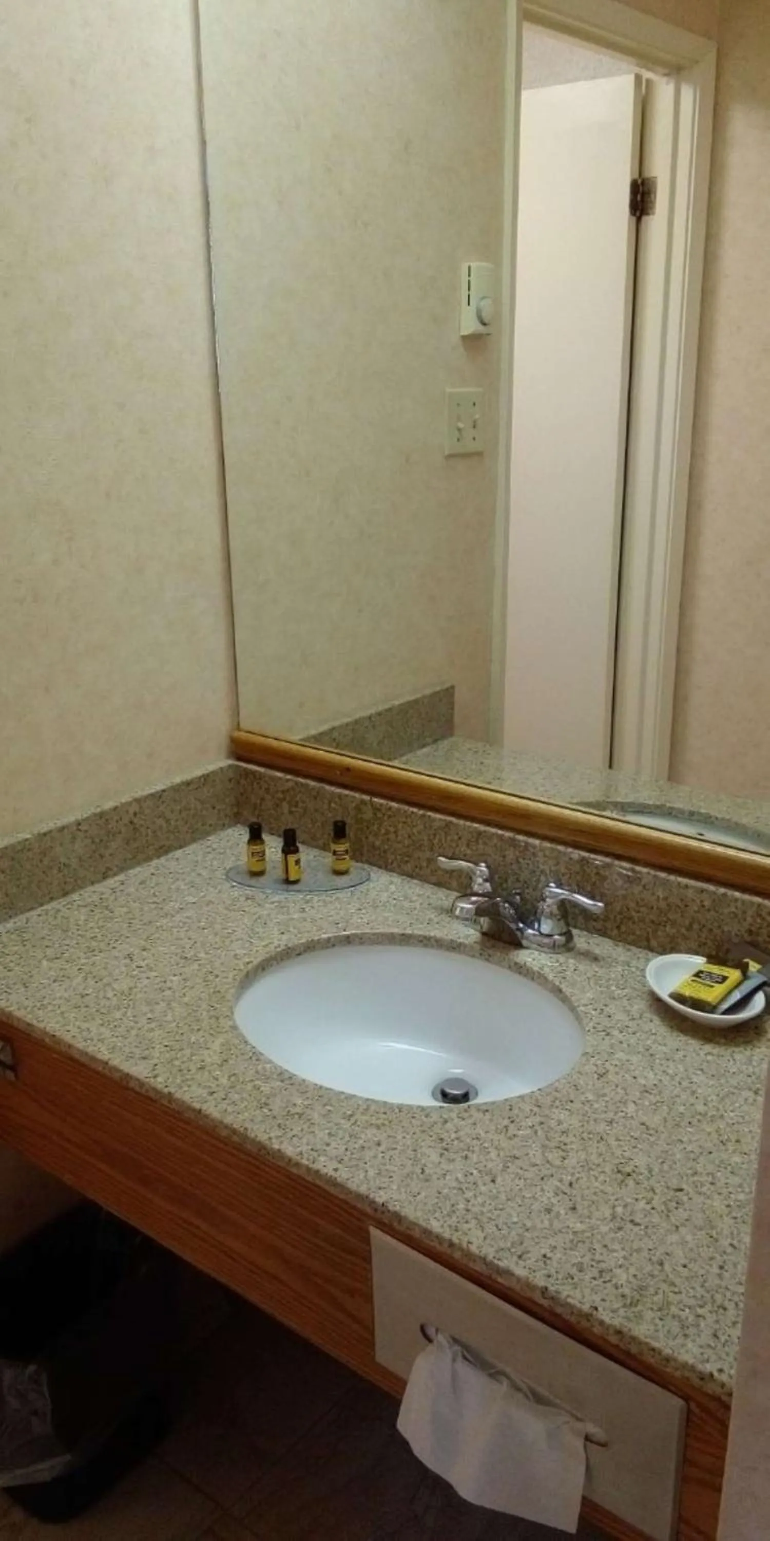 Bathroom in Best Western Plus Otonabee Inn