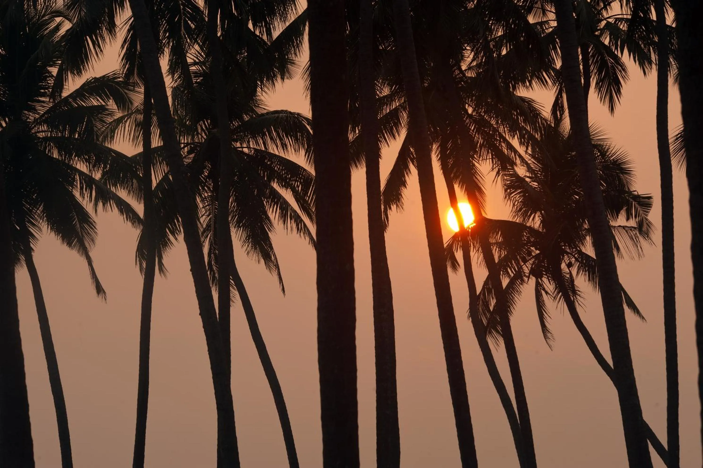 Garden view in Reef Villa