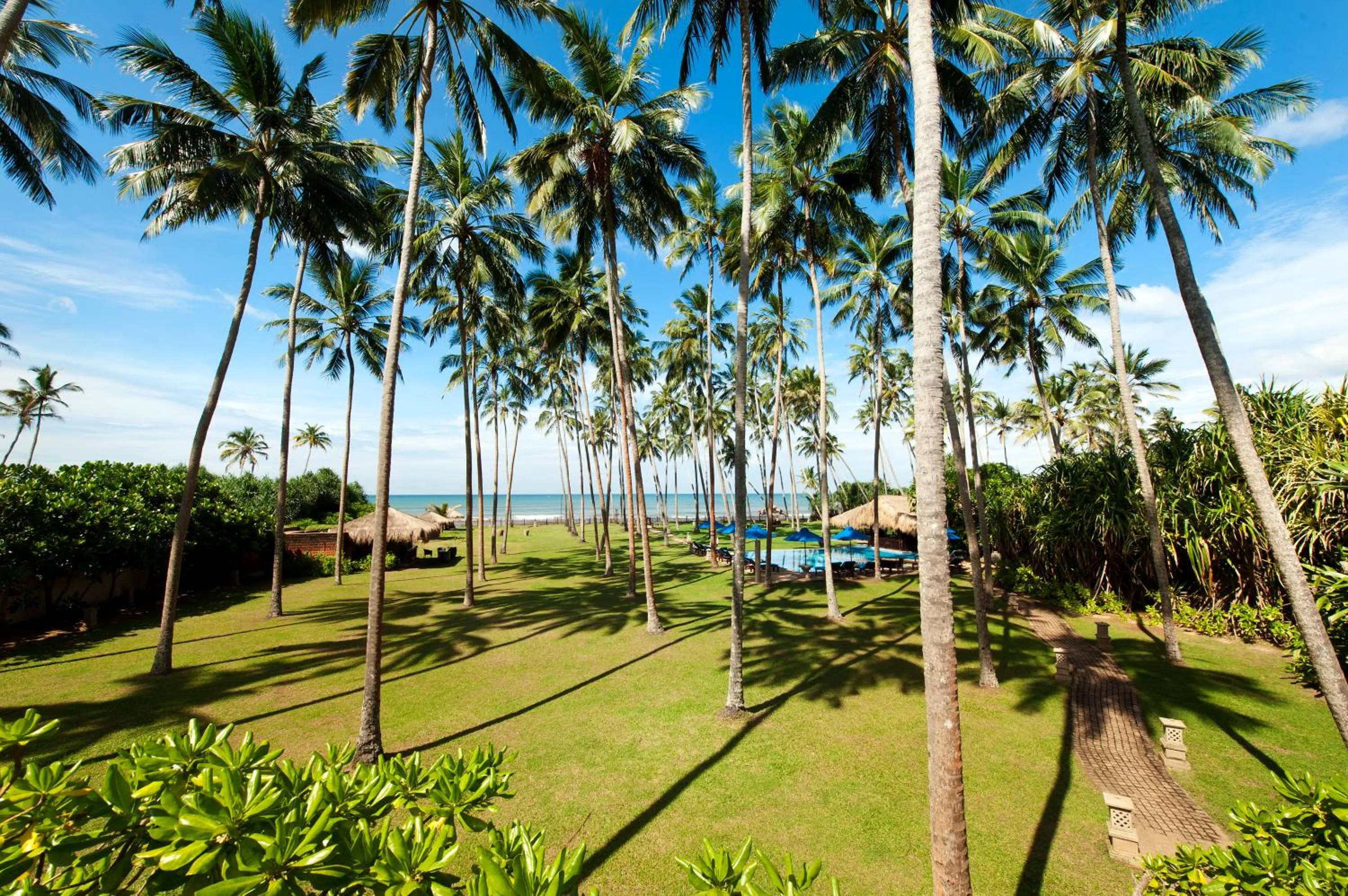 Garden in Reef Villa