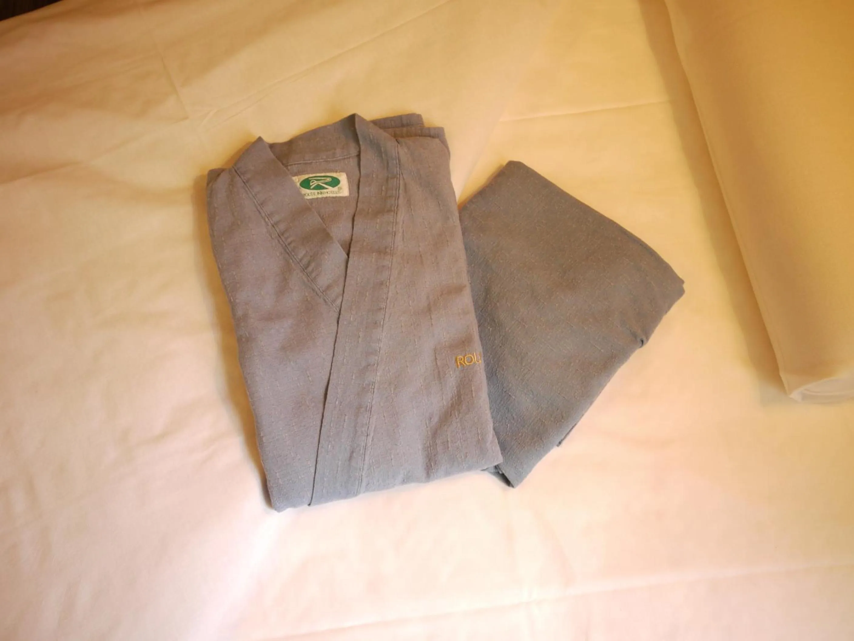 Decorative detail in Route Inn Grantia Shiretoko -Shari Ekimae-