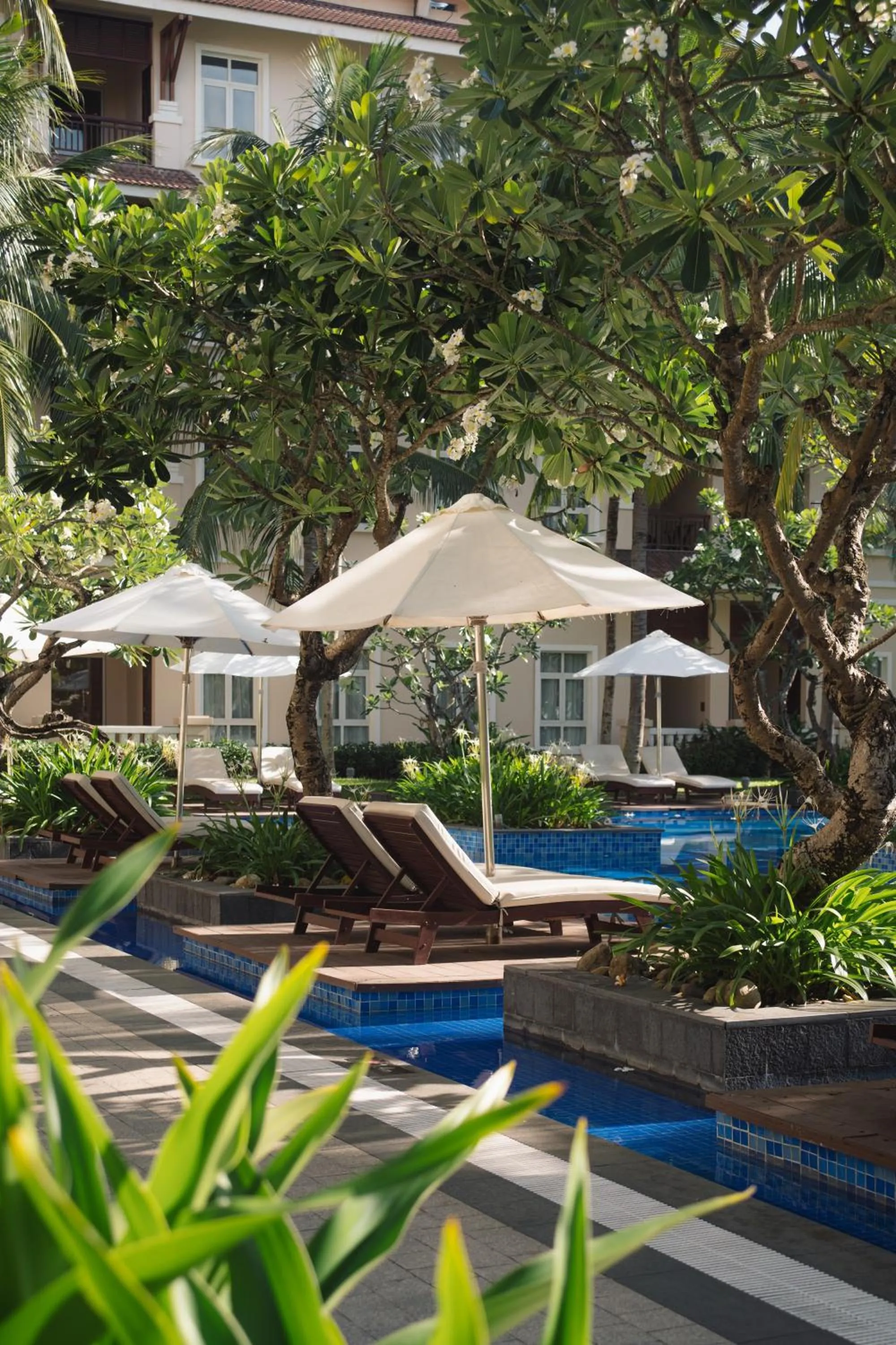 Garden in Danang Marriott Resort & Spa