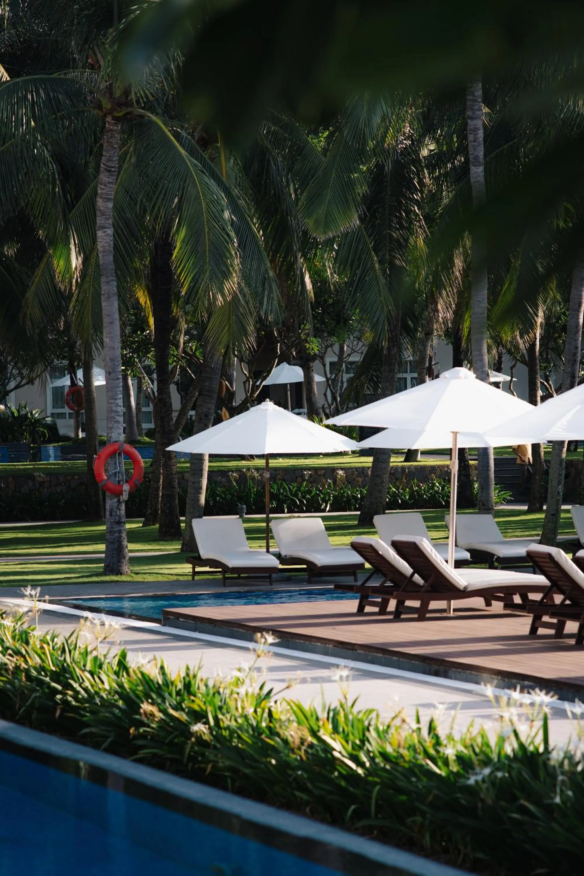 Garden in Danang Marriott Resort & Spa