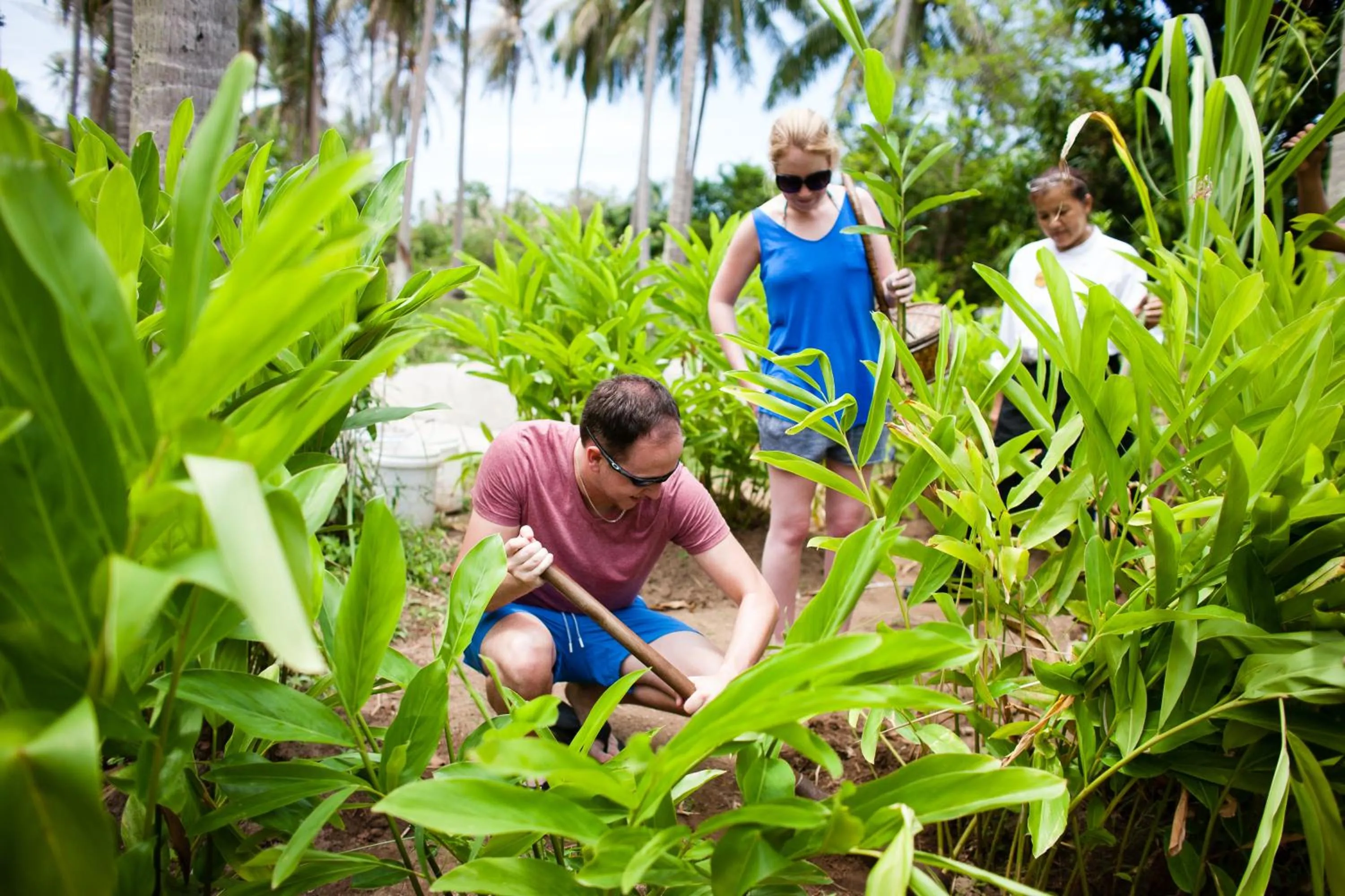 Activities in Chantaramas Beach Resort Koh Phangan