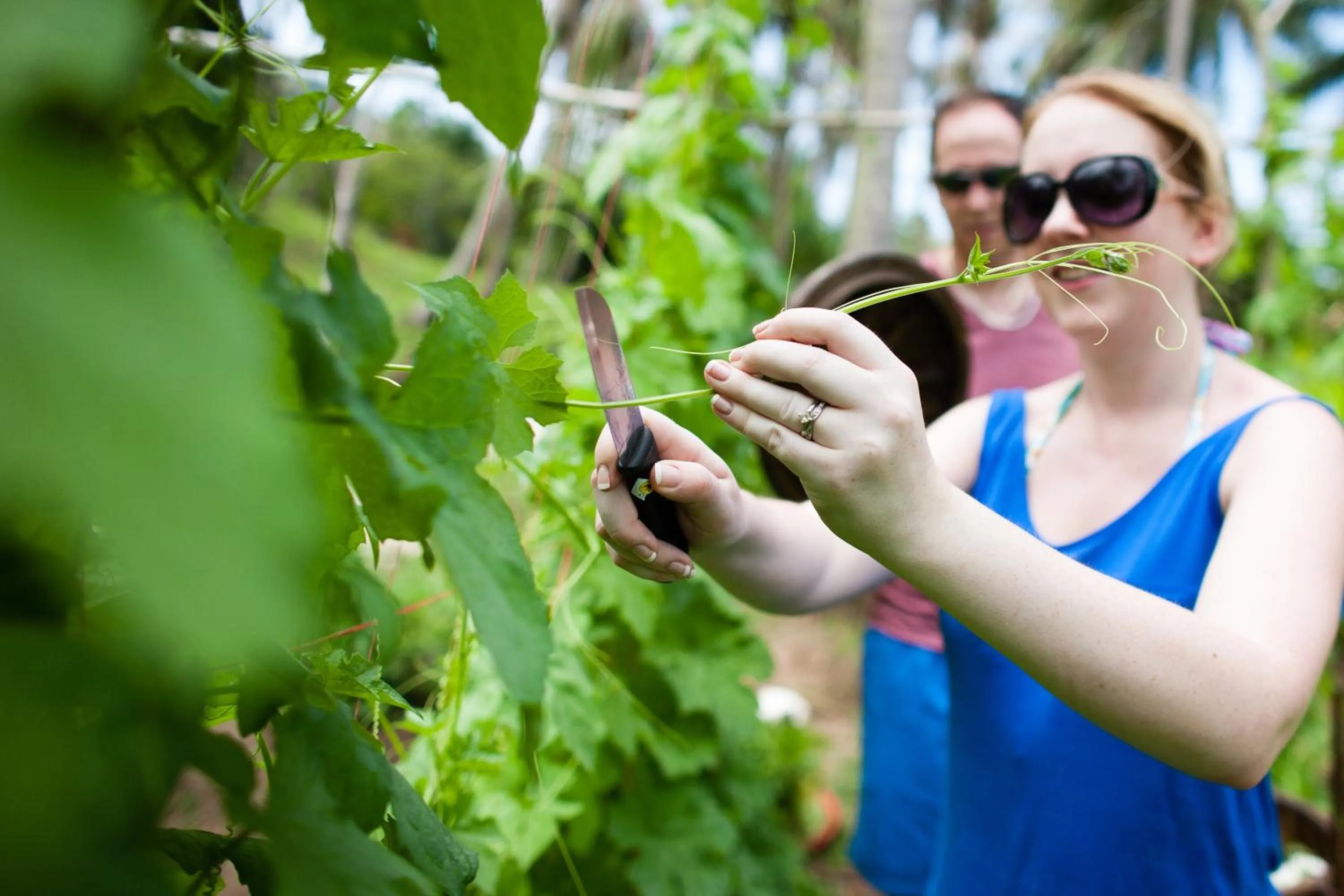 Activities in Chantaramas Beach Resort Koh Phangan