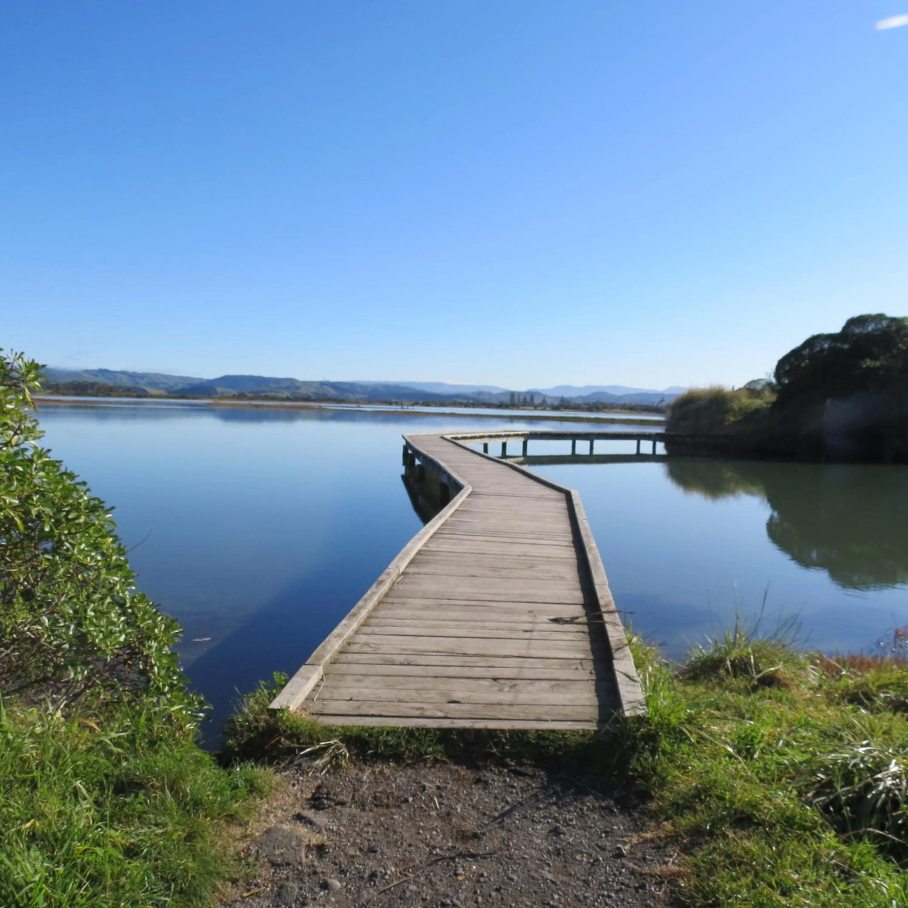 Natural landscape in Fairley Motor Lodge