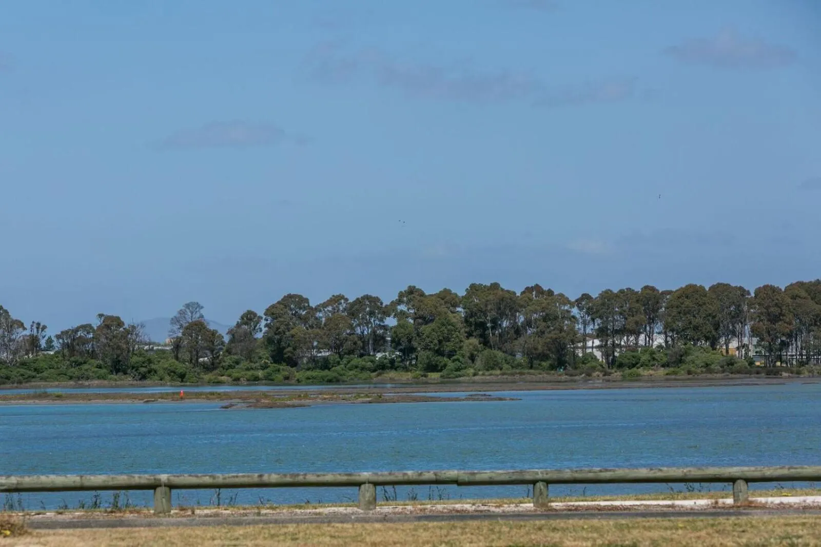 Natural landscape in Fairley Motor Lodge