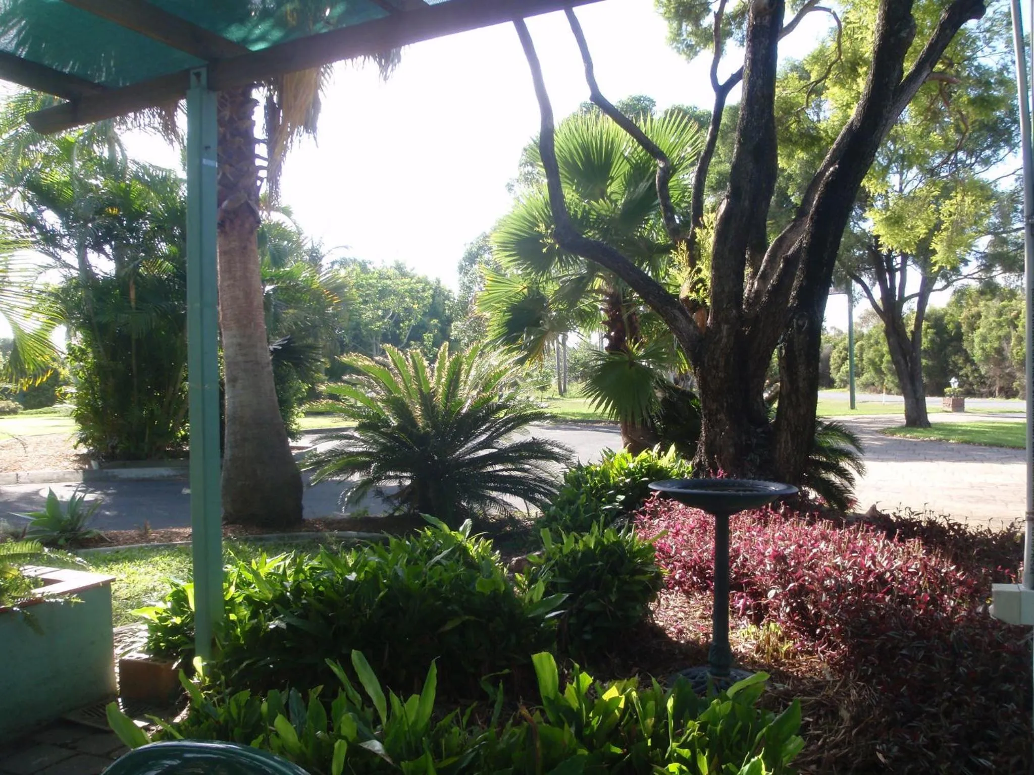 Day in McNevins Logan Park Motel