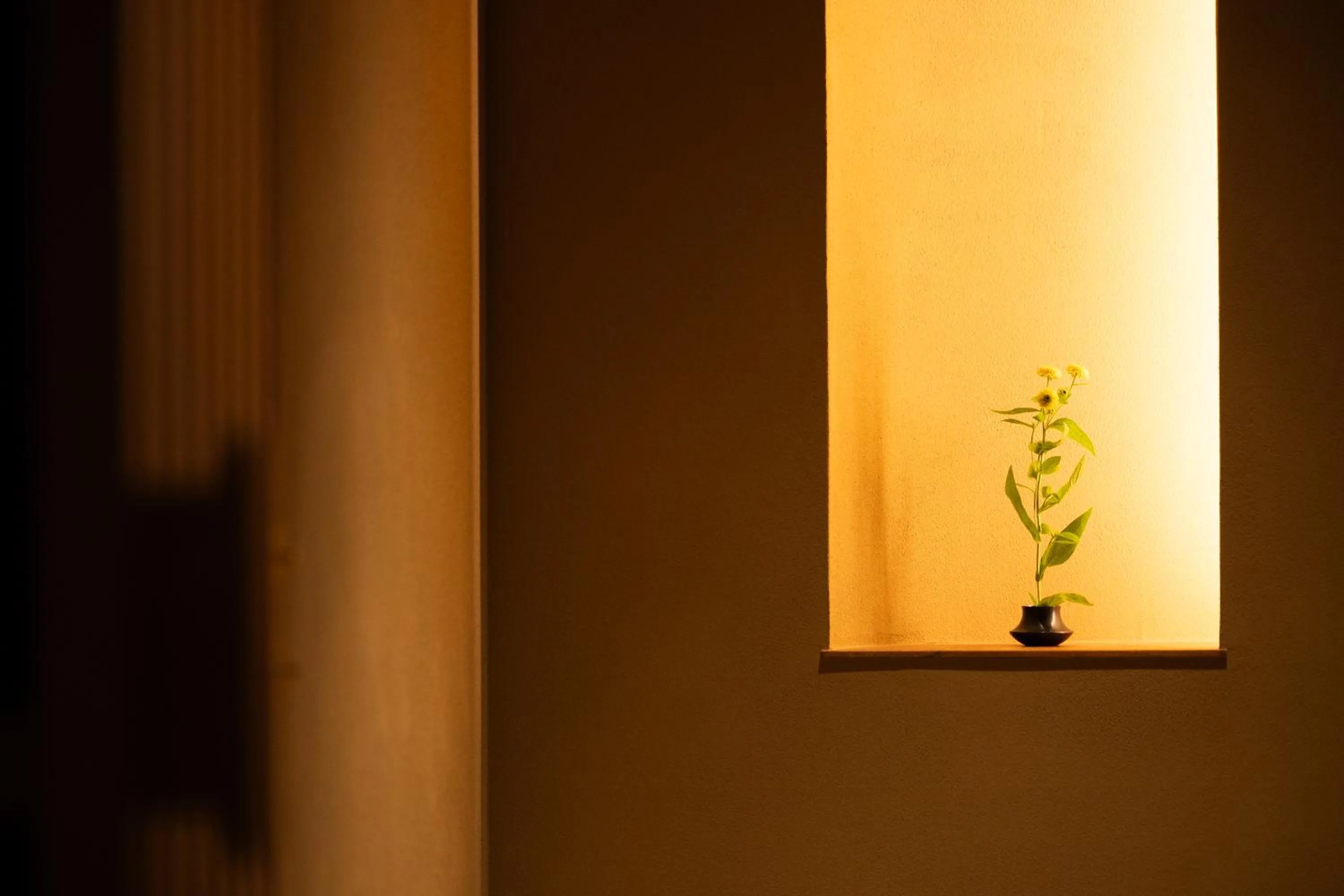 Photo of the whole room in Mikuniya