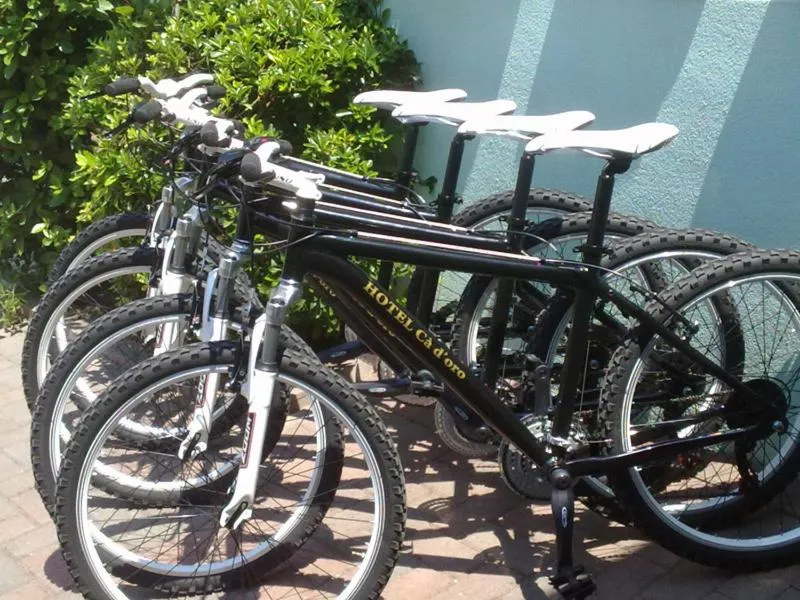 Cycling in Hotel Ca' D'Oro Tre Stelle Superior Adults only