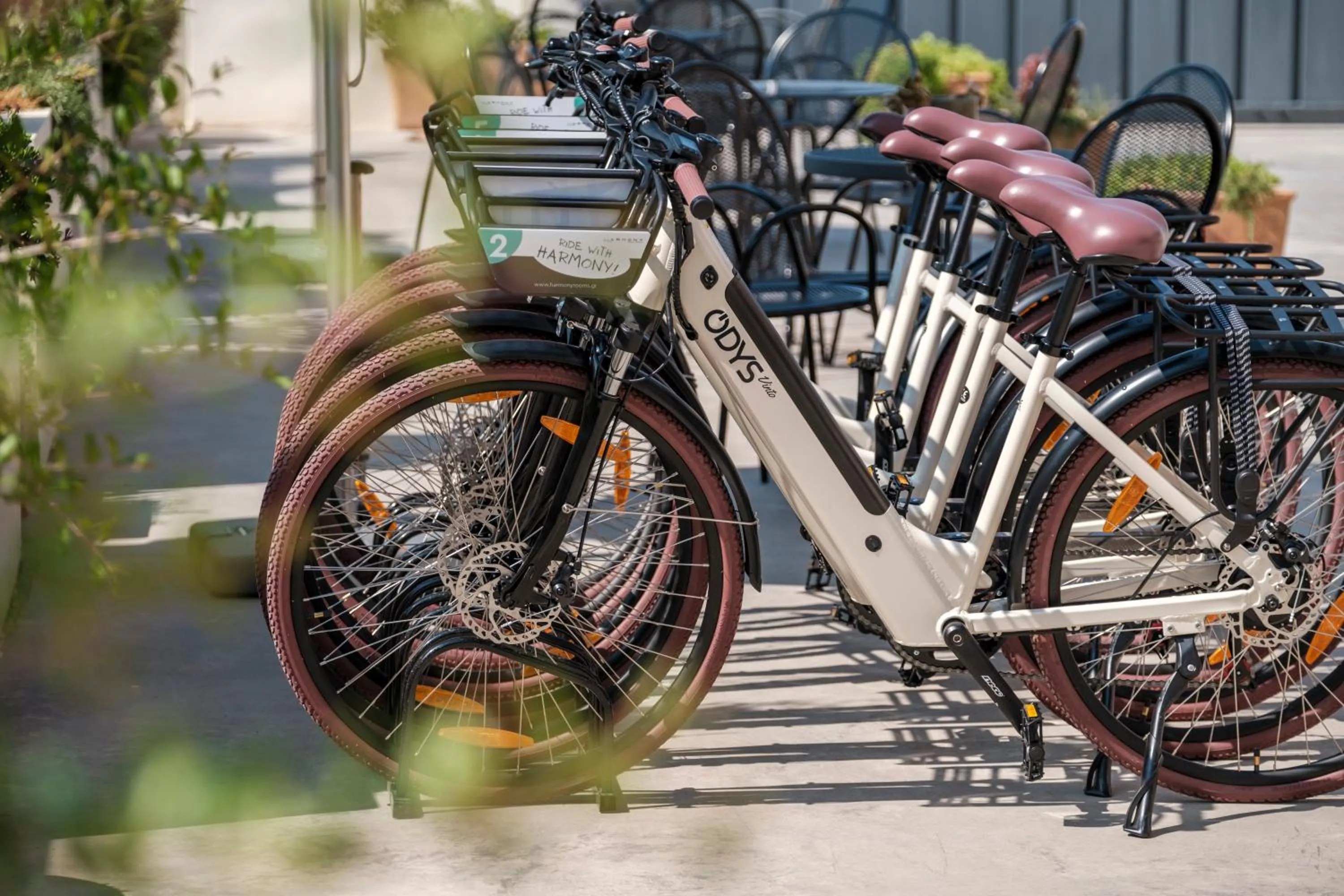 Activities in Harmony Hotel Nafplio