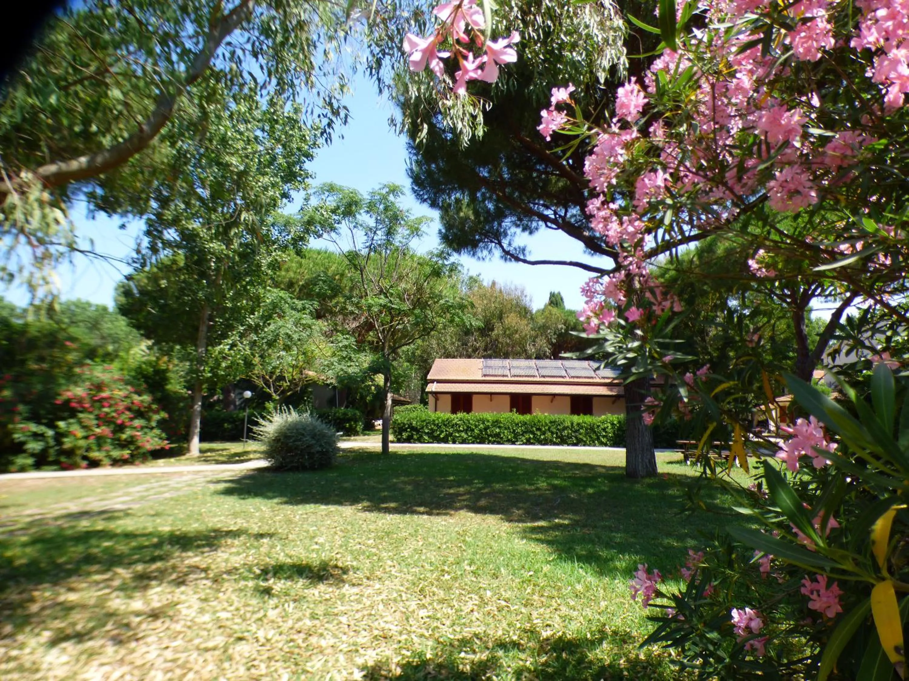 Property building in Ghiacci Vecchi Residence