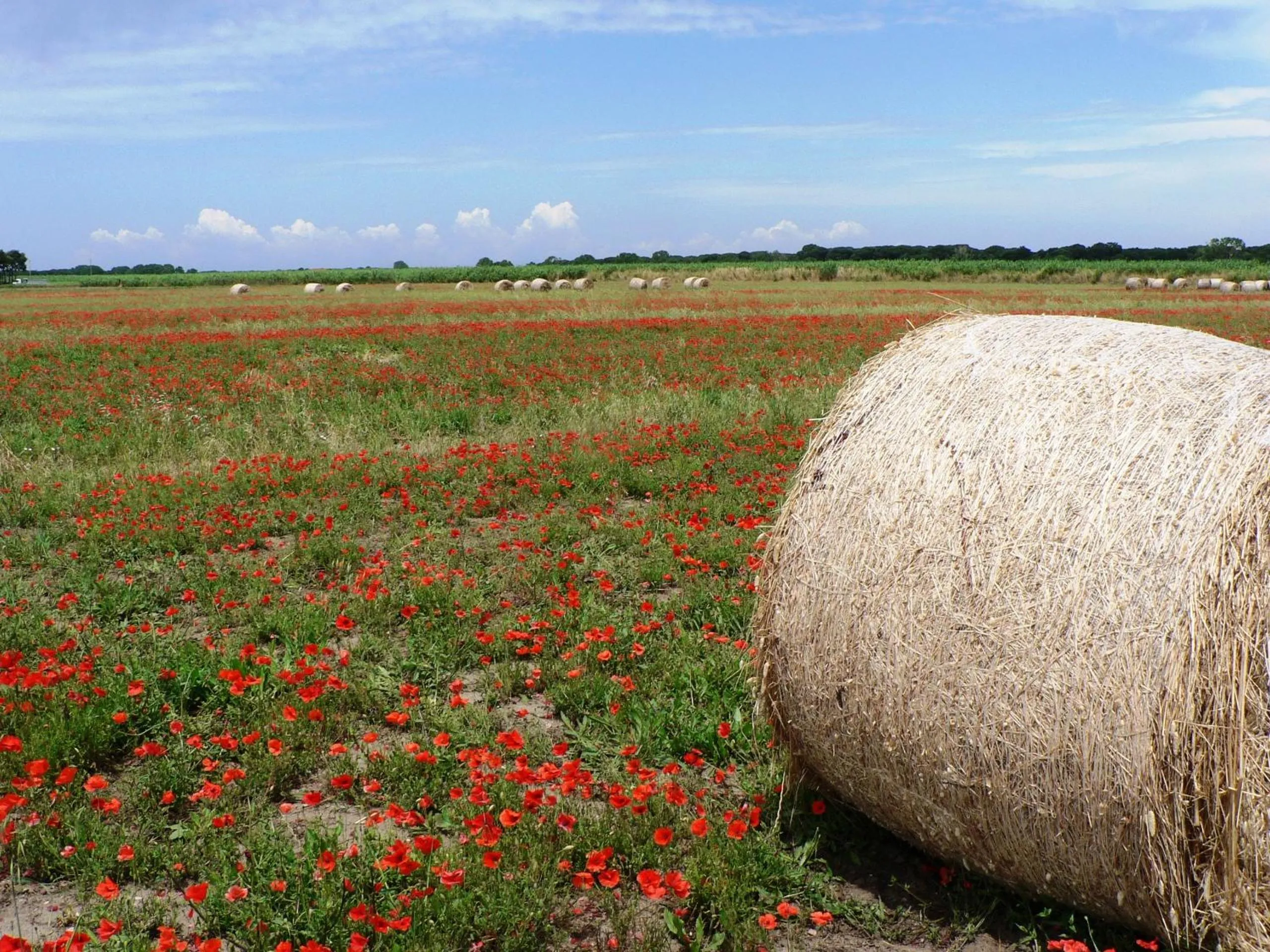 Natural landscape in Ghiacci Vecchi Residence