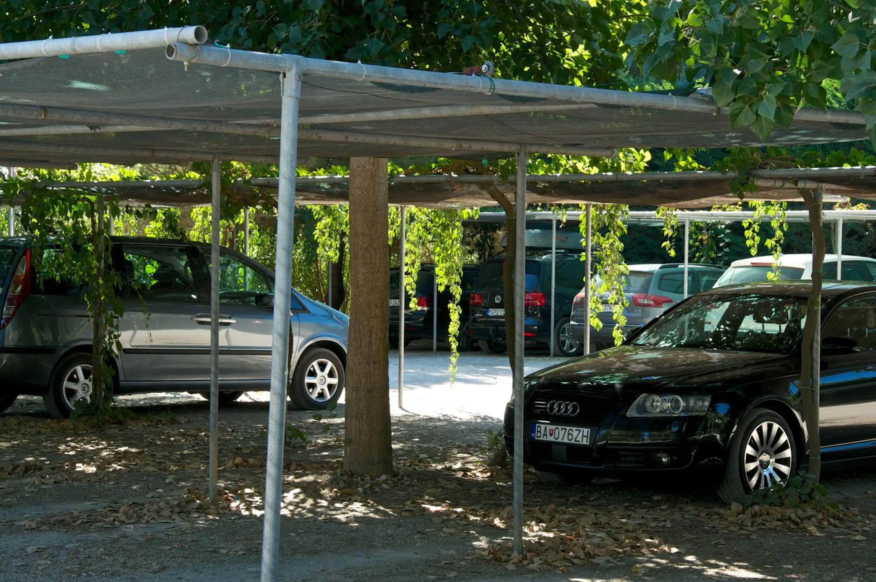 Garden in Ghiacci Vecchi Residence
