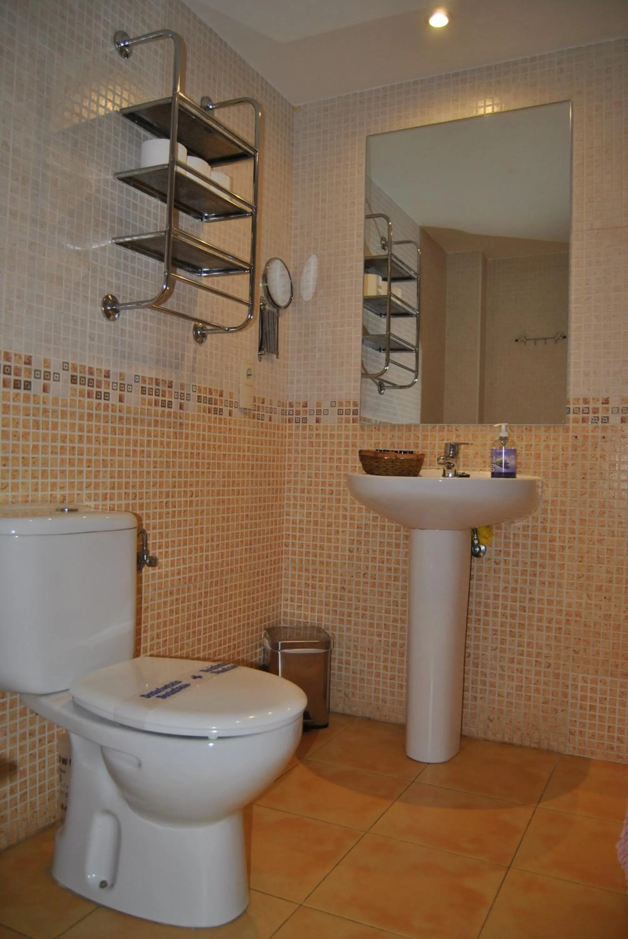 Toilet in Apartahotel Rural CollaRubio Luxury