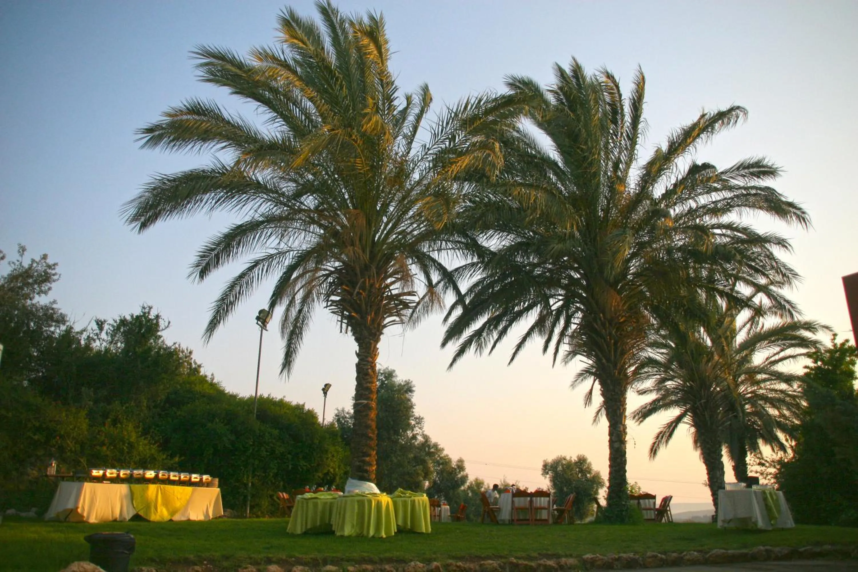 Natural landscape in Neve Shalom Hotel