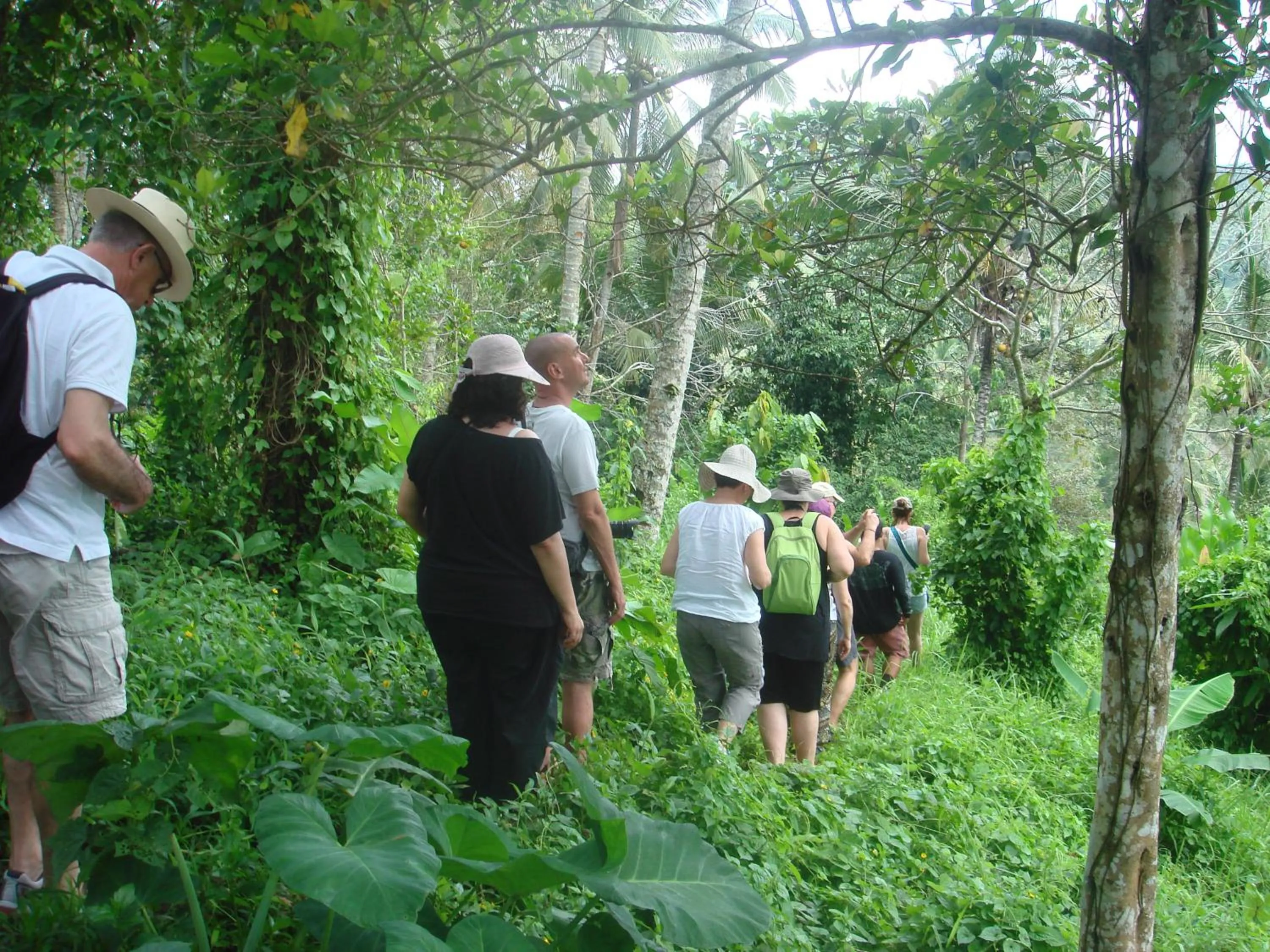 Natural landscape in Cempaka Belimbing Villa