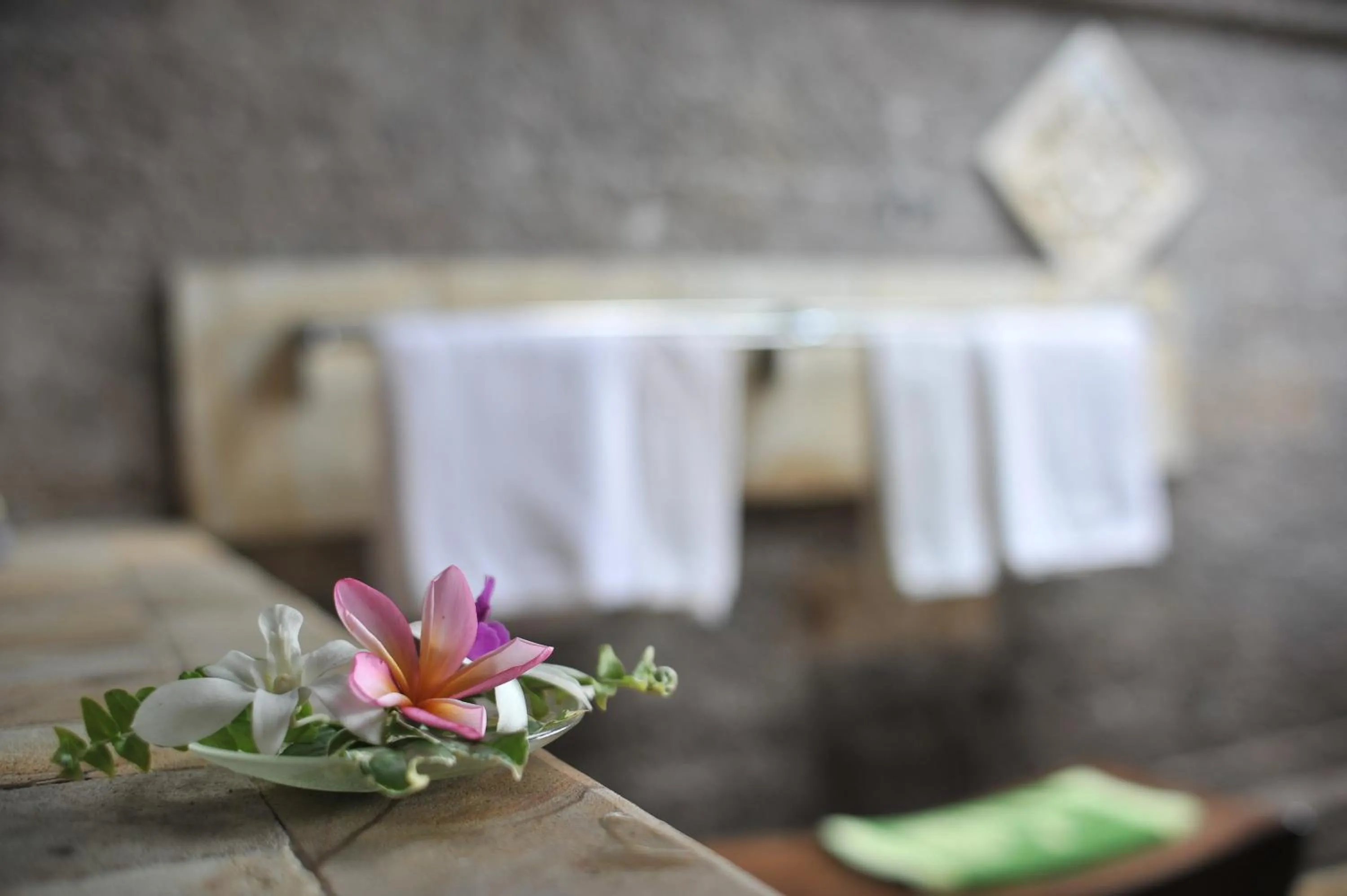 Property building in Cempaka Belimbing Villa