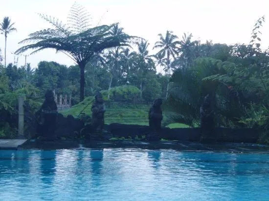 Bird's eye view in Cempaka Belimbing Villa