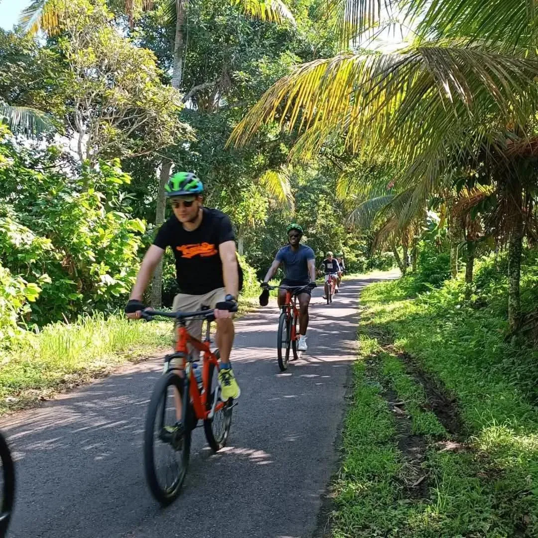 Cempaka Belimbing Villa