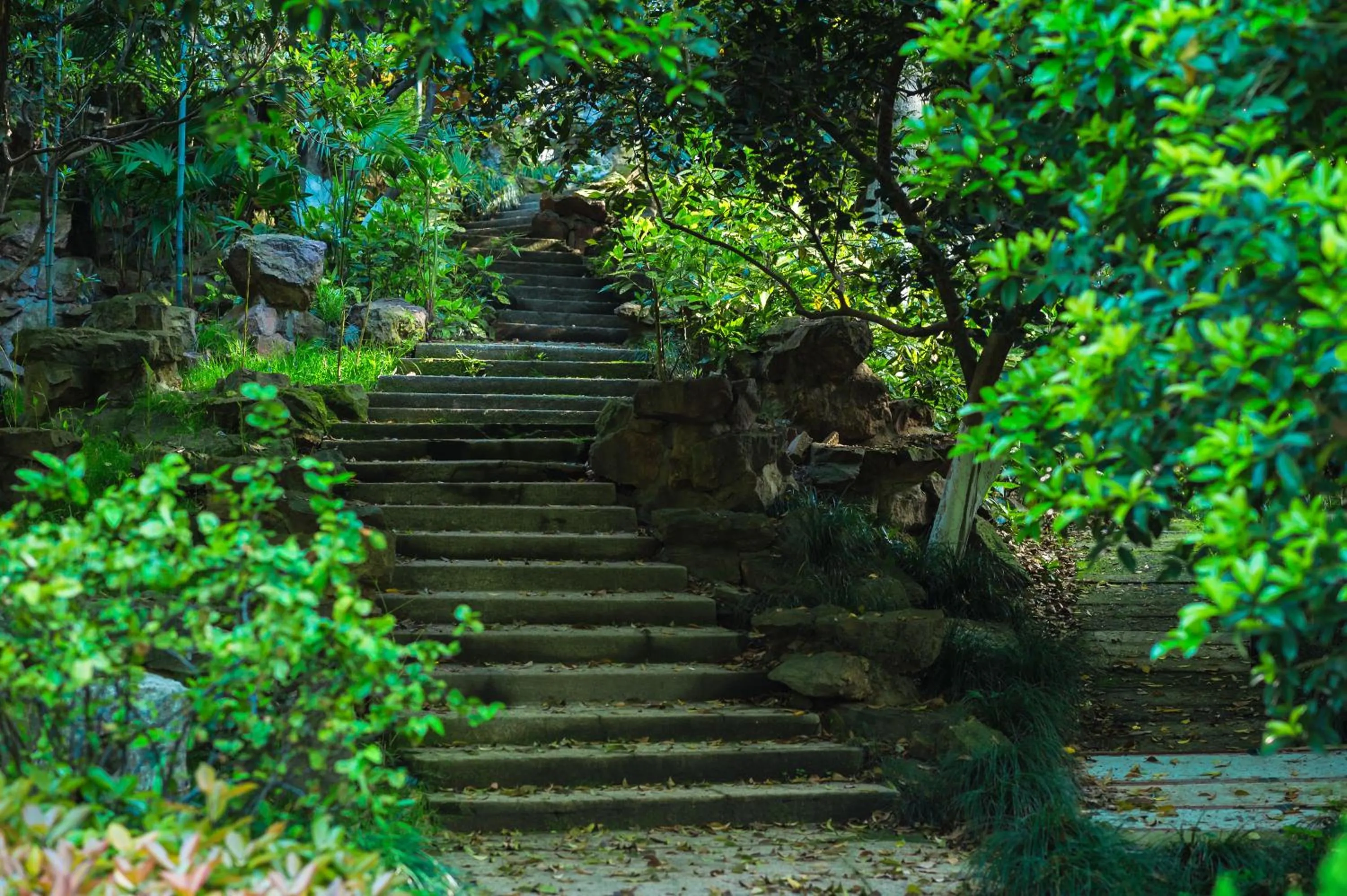 Mountain view in Shangri-La Hangzhou - The back garden of West Lake