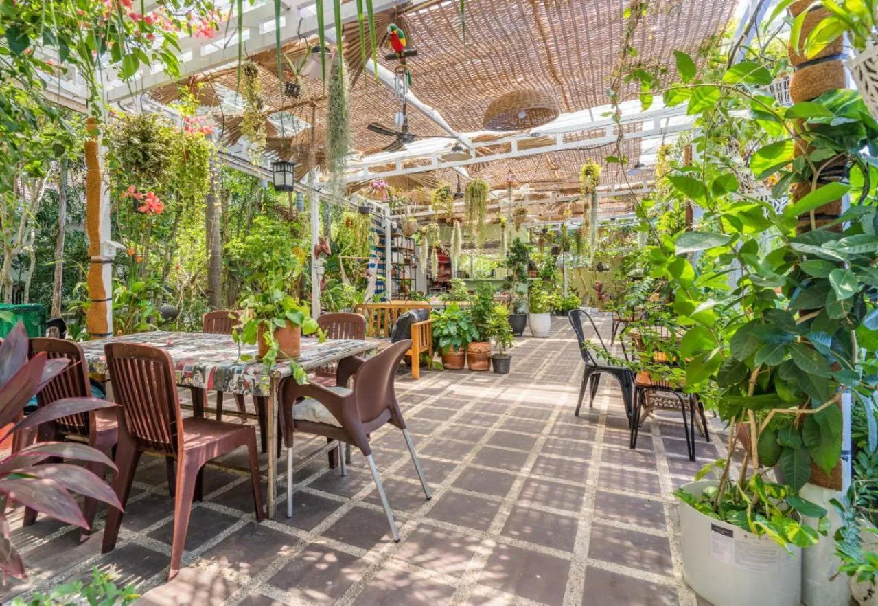 Restaurant/places to eat in Sanssouci Kep