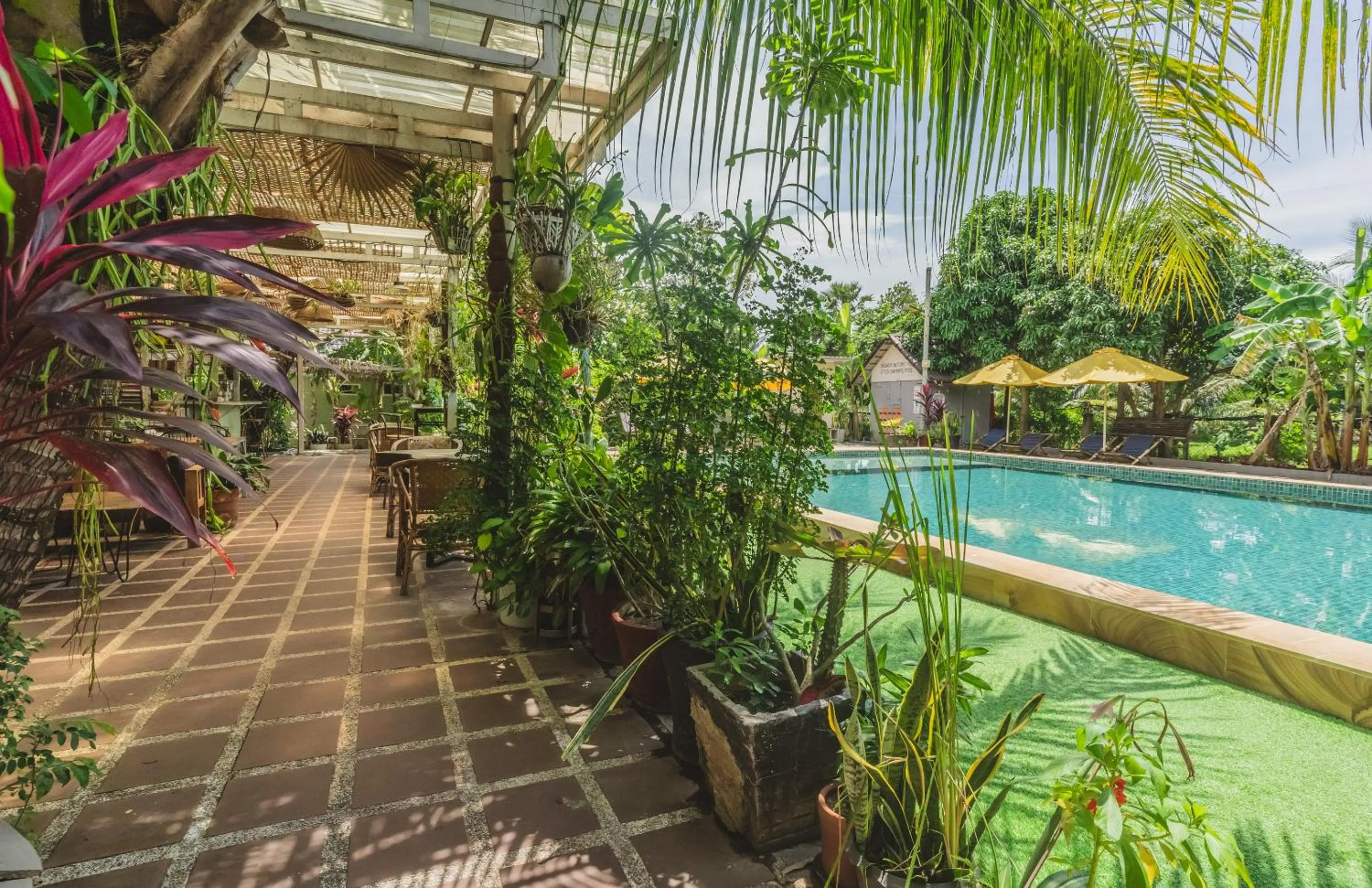 Restaurant/places to eat in Sanssouci Kep