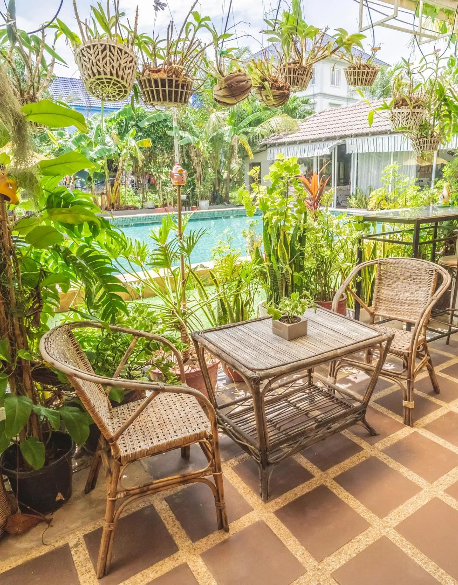 Restaurant/places to eat in Sanssouci Kep