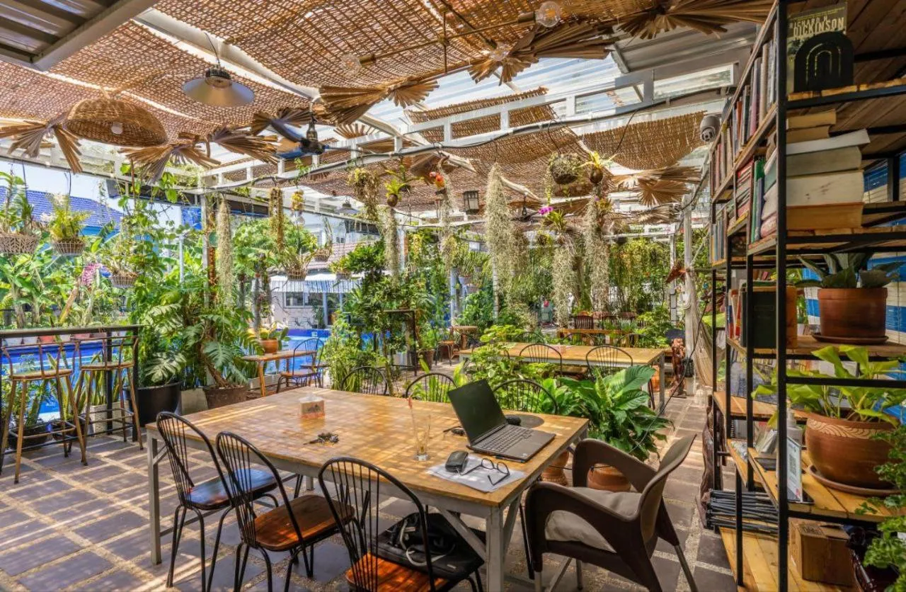 Library in Sanssouci Kep