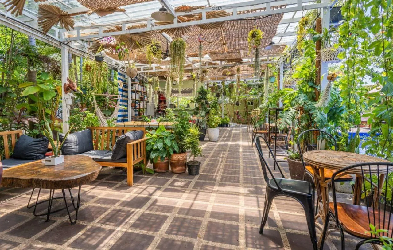 Restaurant/places to eat in Sanssouci Kep