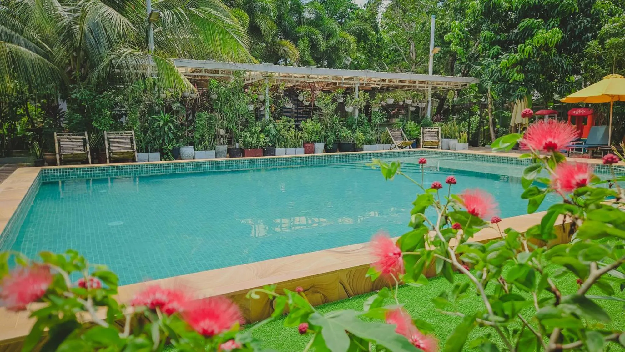 Swimming pool in Sanssouci Kep
