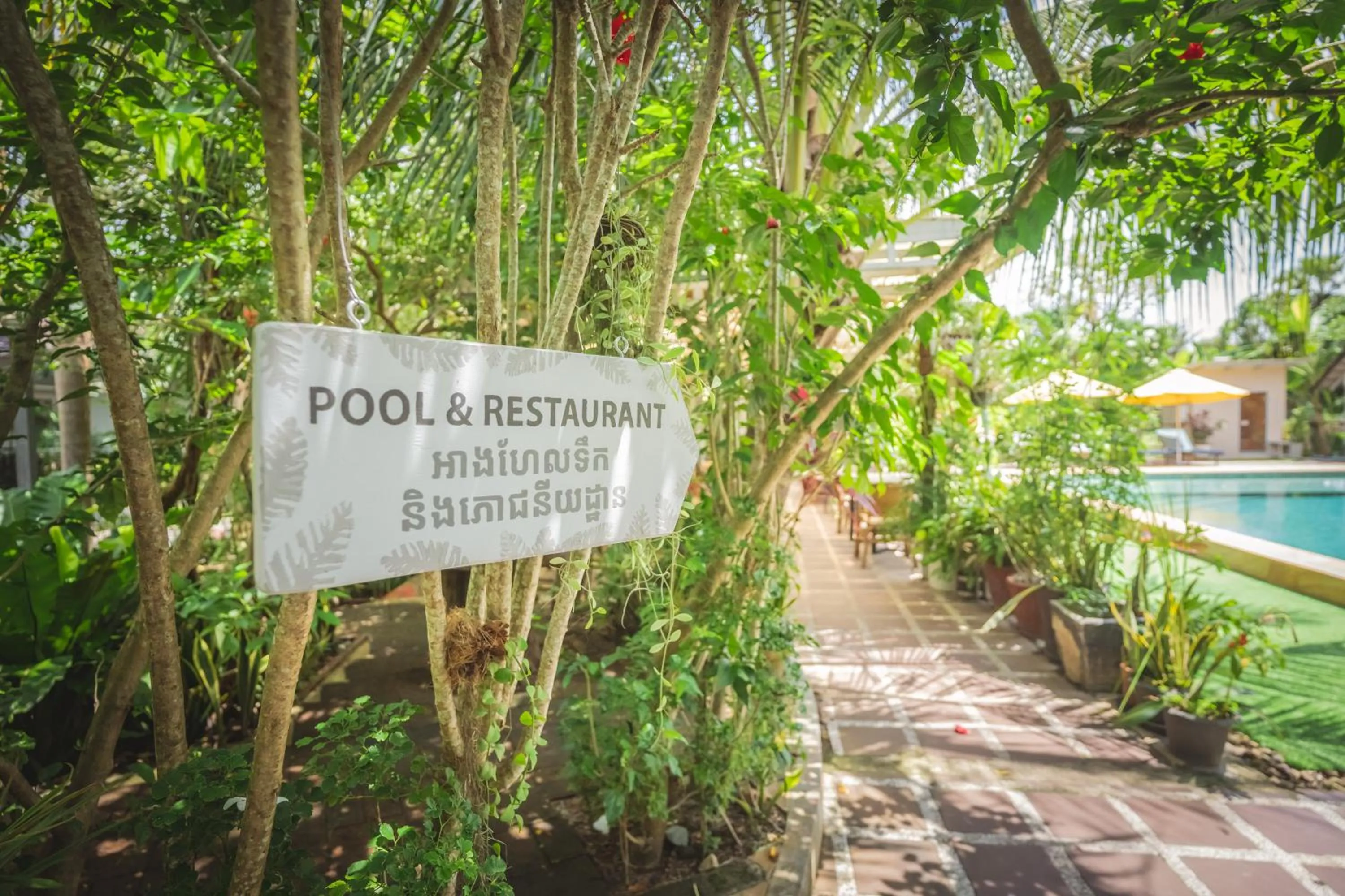 Garden in Sanssouci Kep