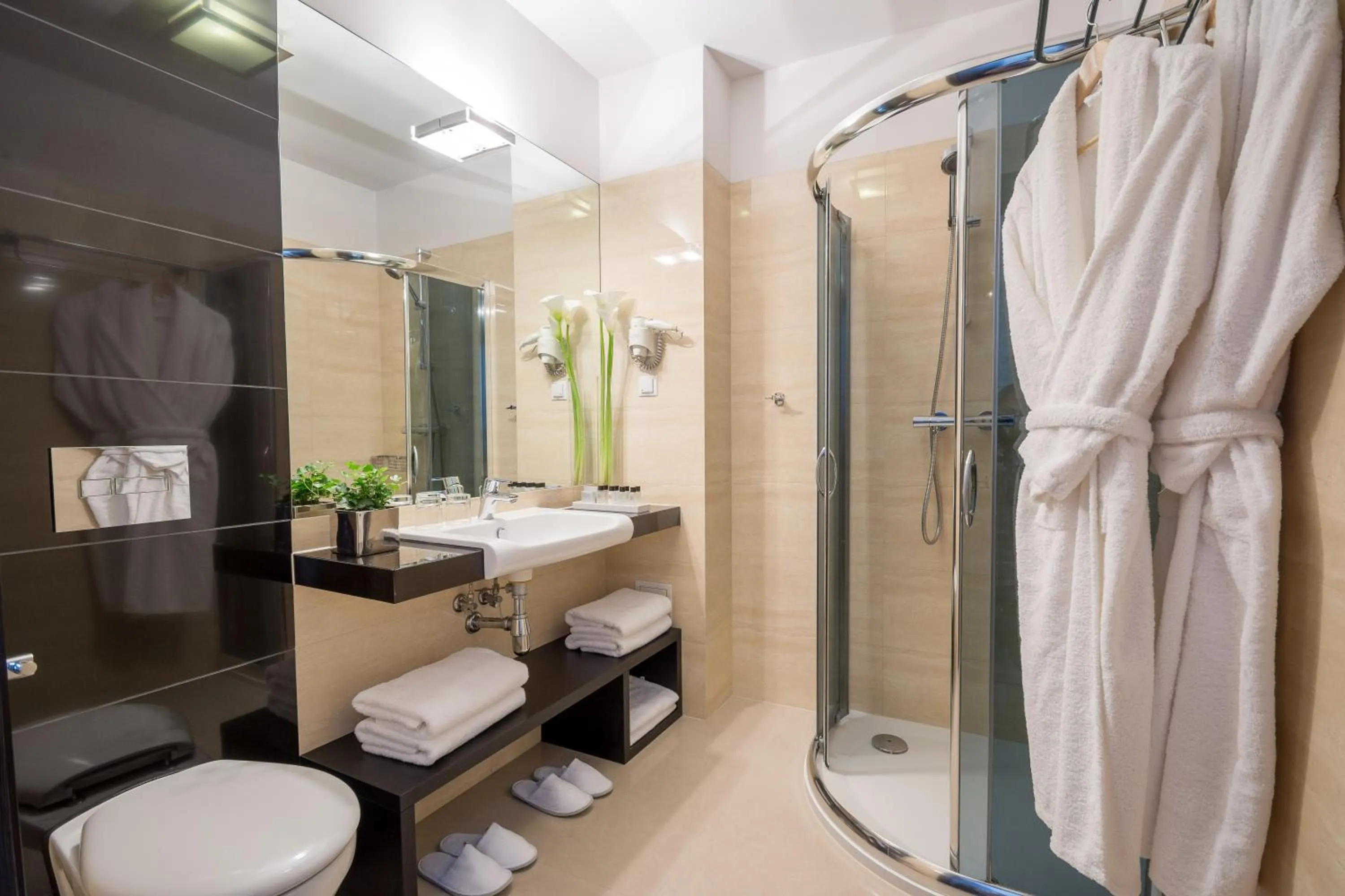 Shower in Queen Boutique Hotel