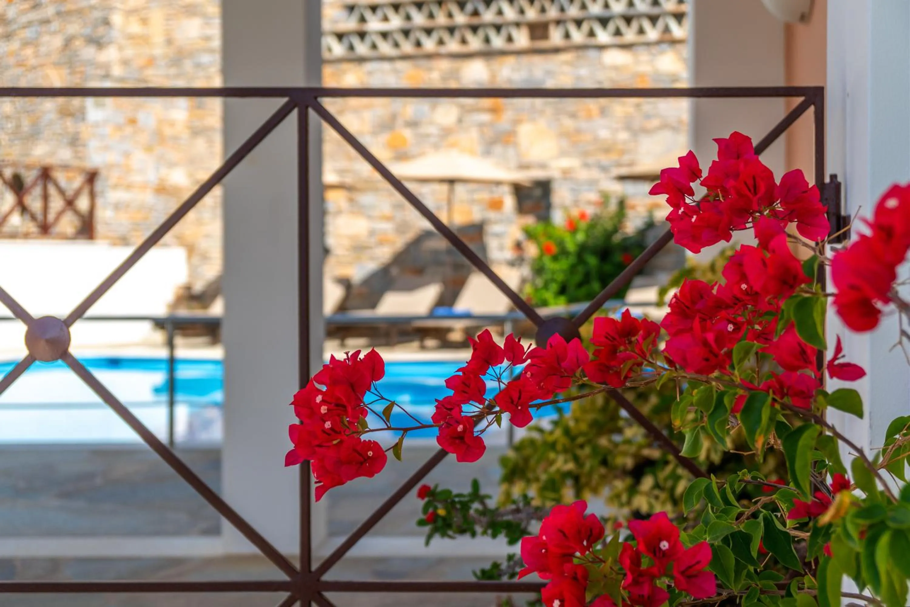 Swimming pool in Reggina's Apartments
