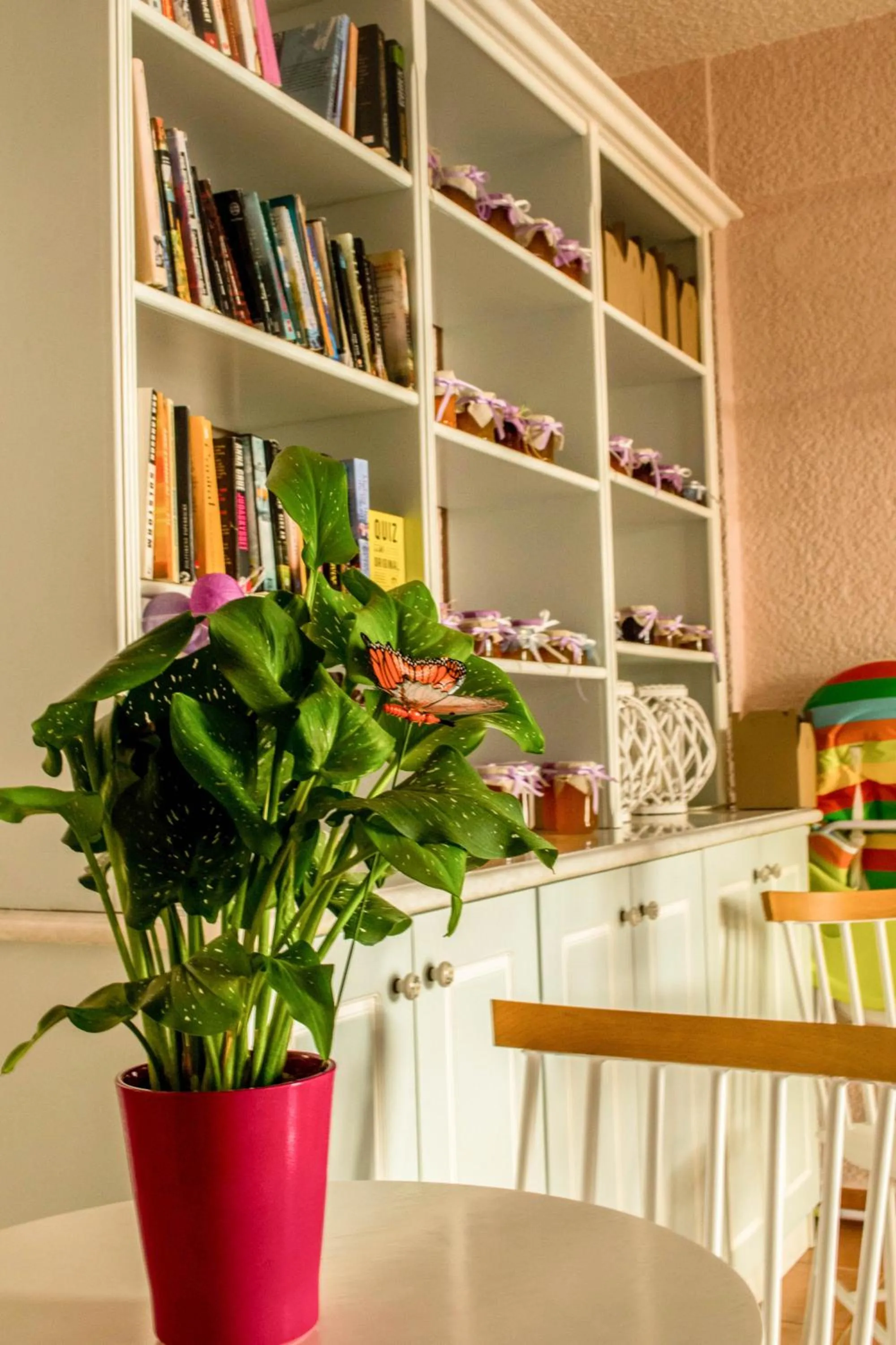 Library in Nikis Village