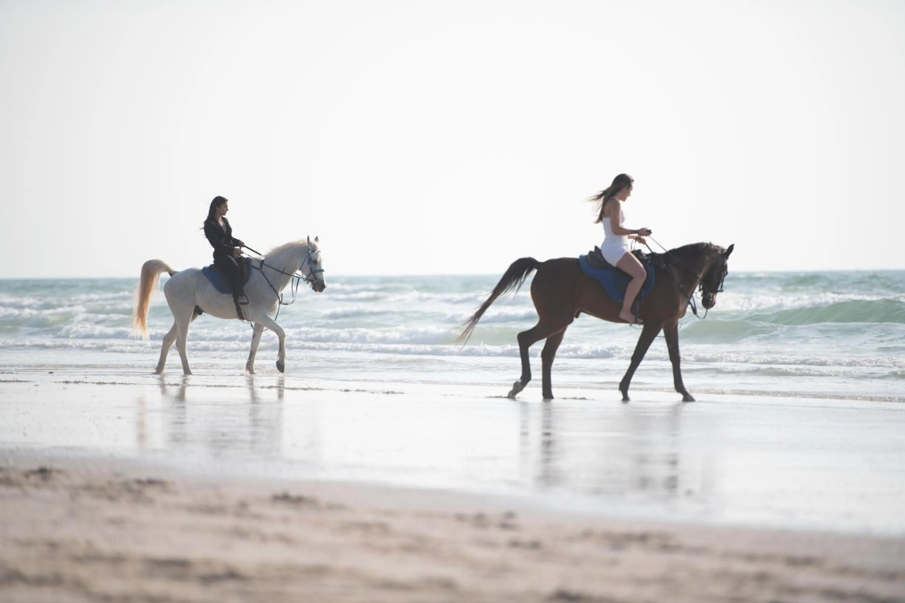 Horse-riding in Umm Al Quwain Beach Hotel